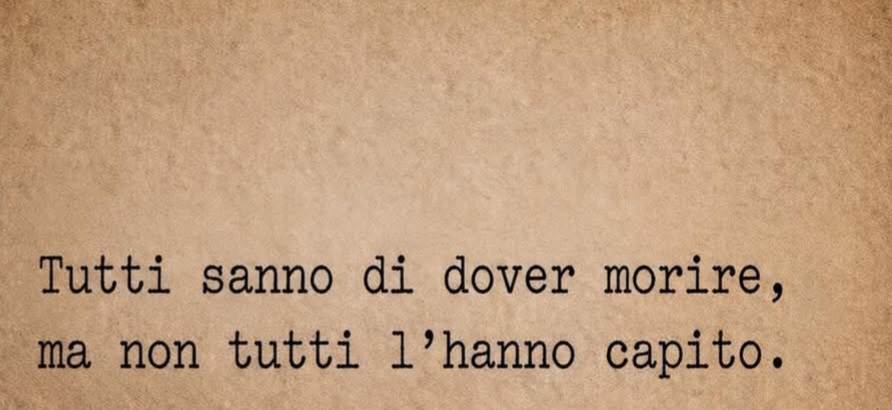 @Luisa Guarino