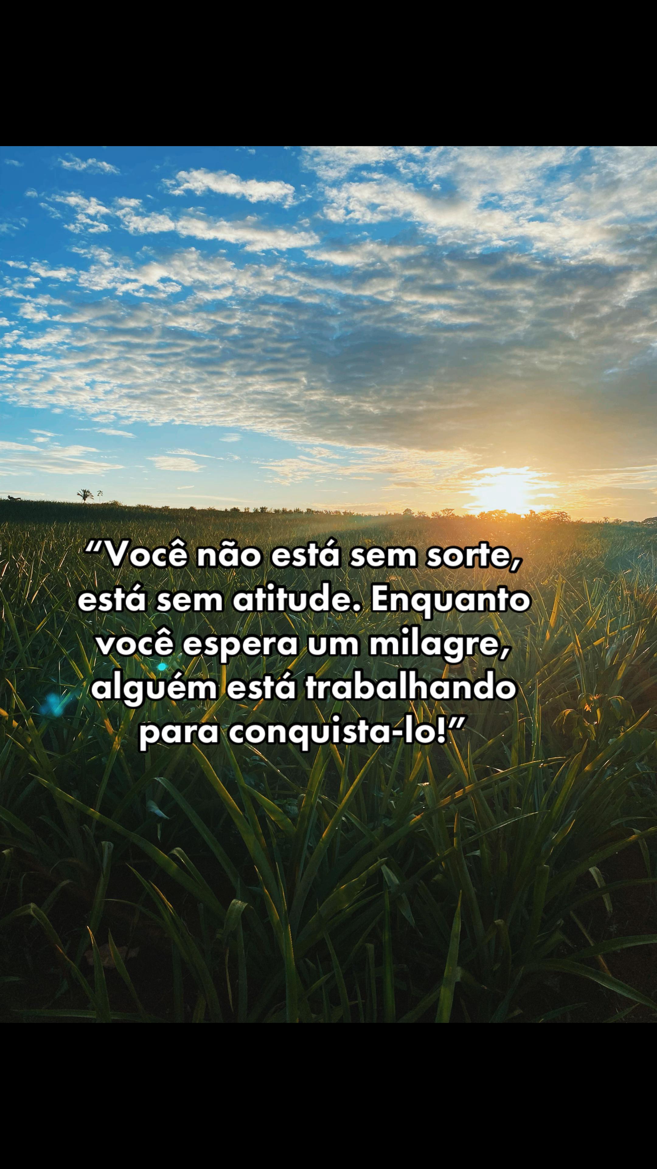 @Gustavo Silva de Oliveira