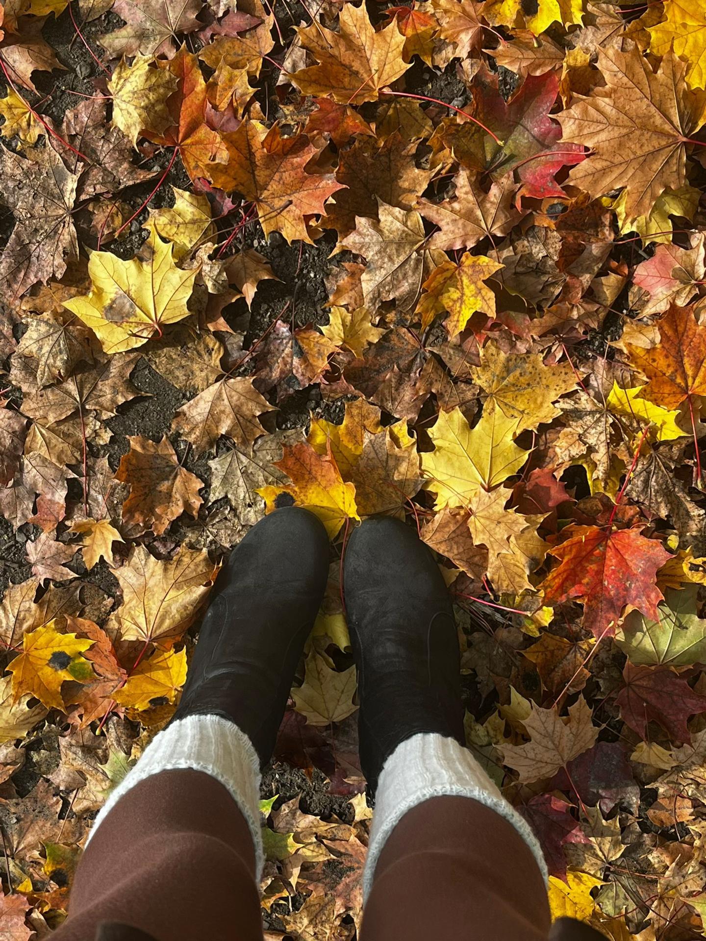 @𝒎𝒂𝒓𝒗𝒆𝒍