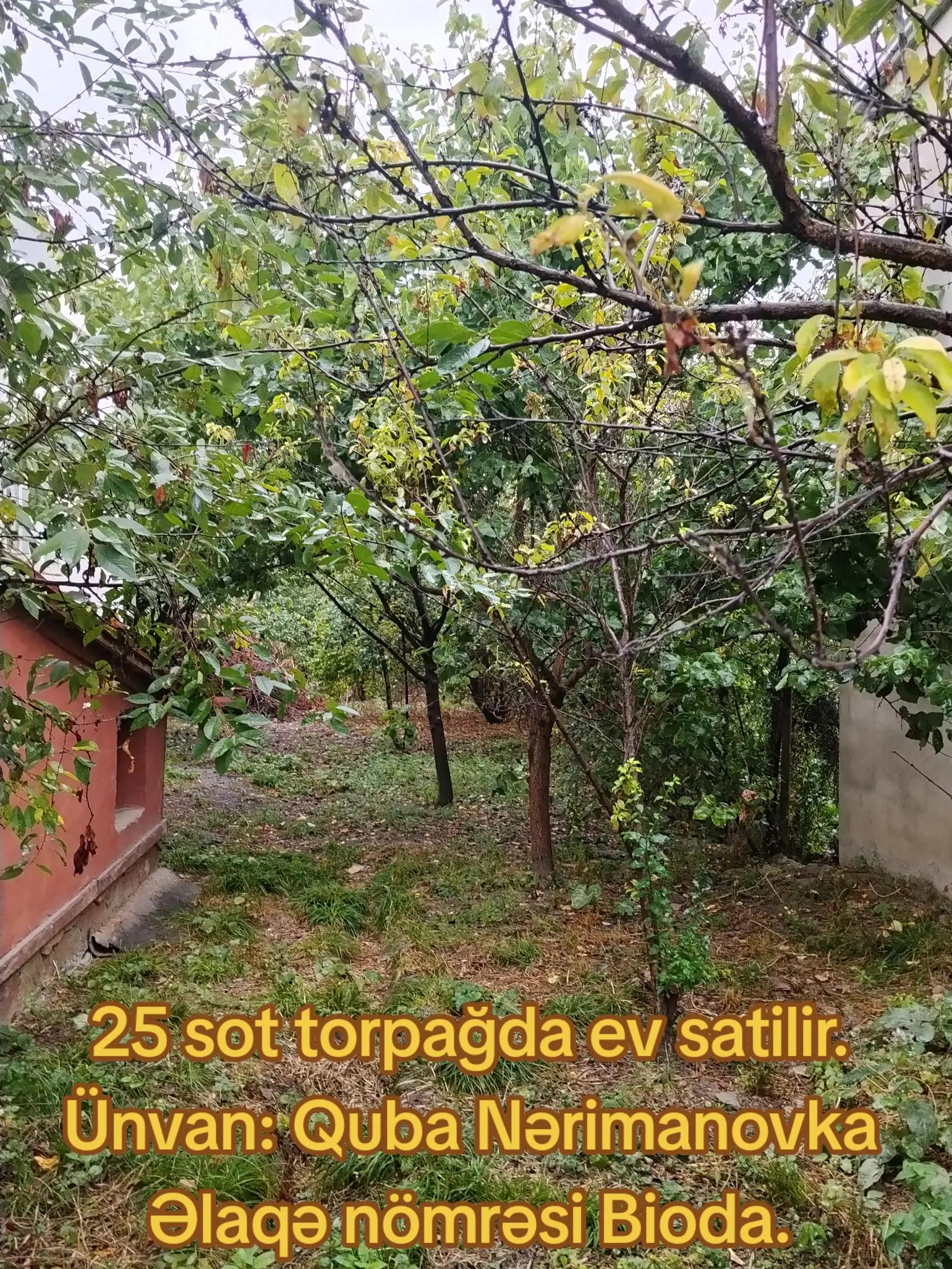 @Feran Mehtiyev