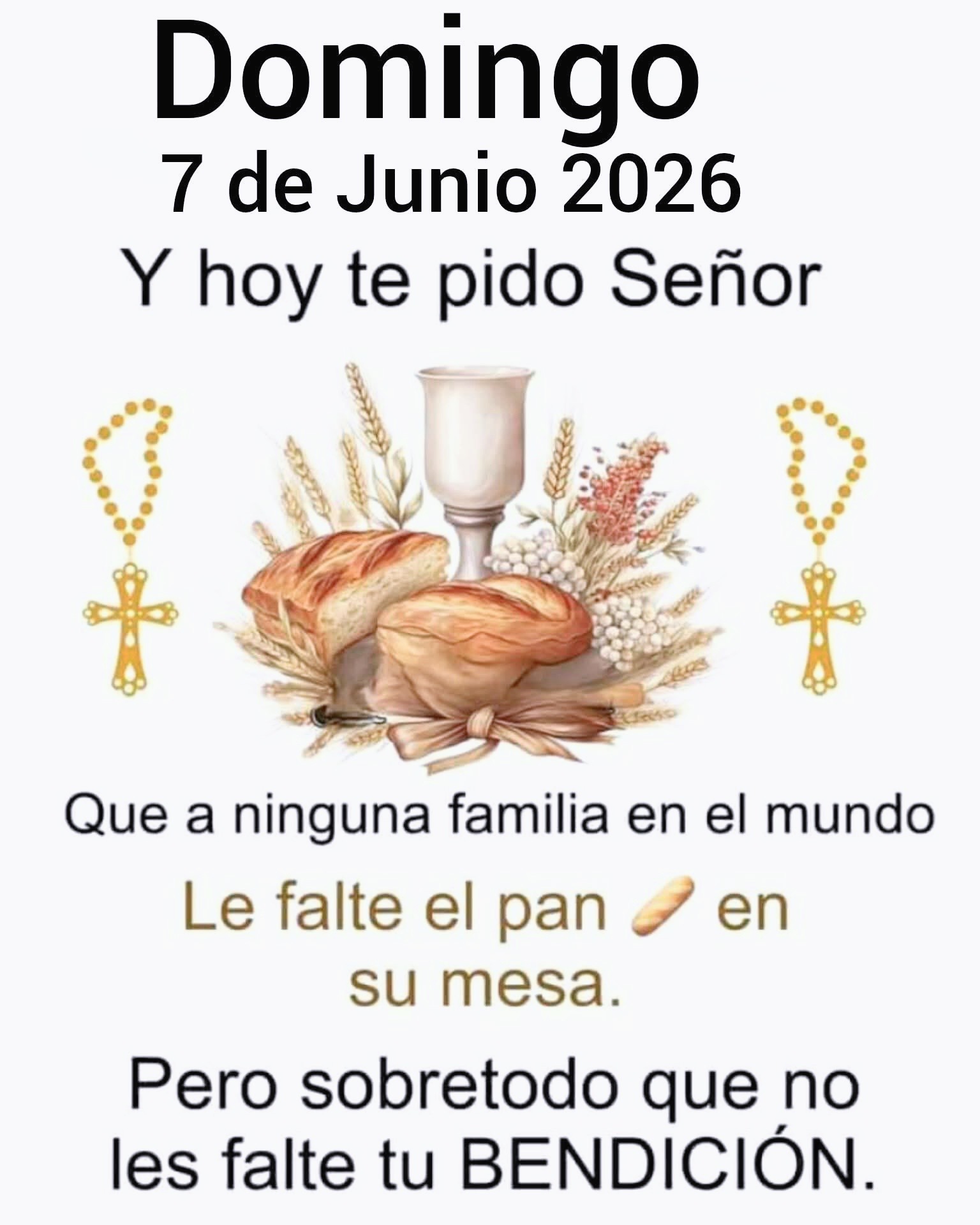 @8luisplaza8