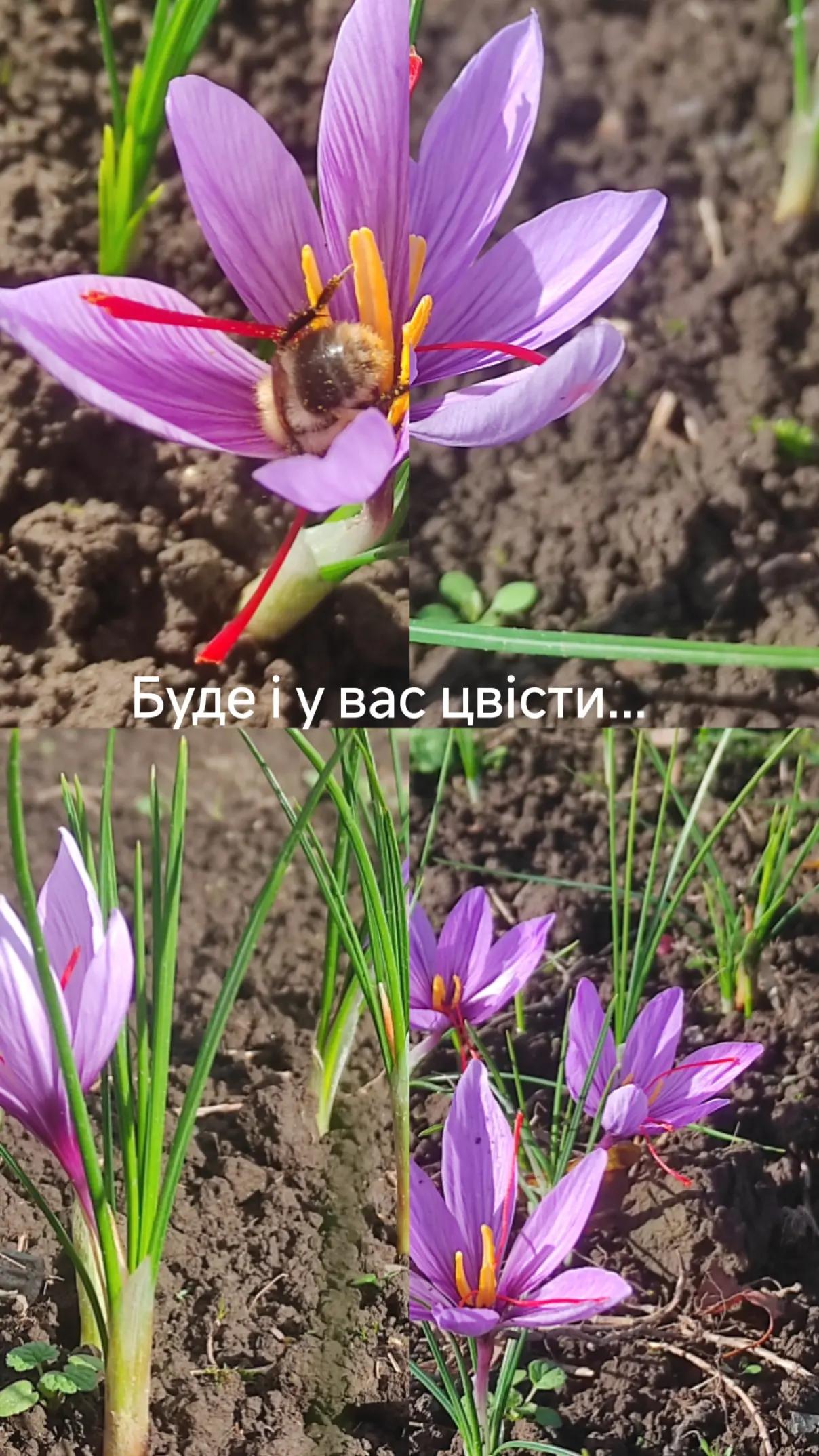 @Олег
