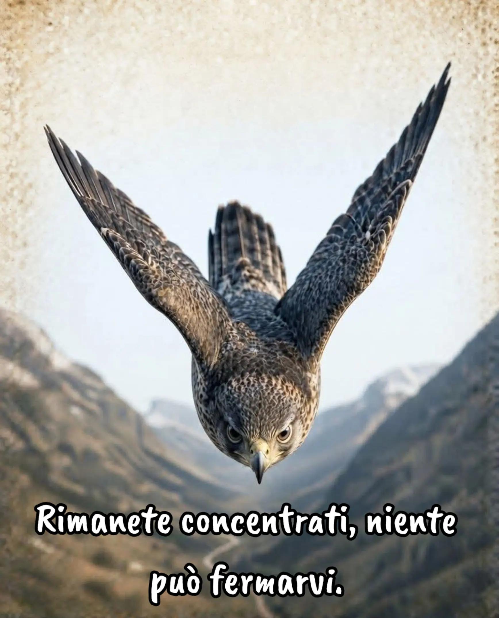 @Michele Mele