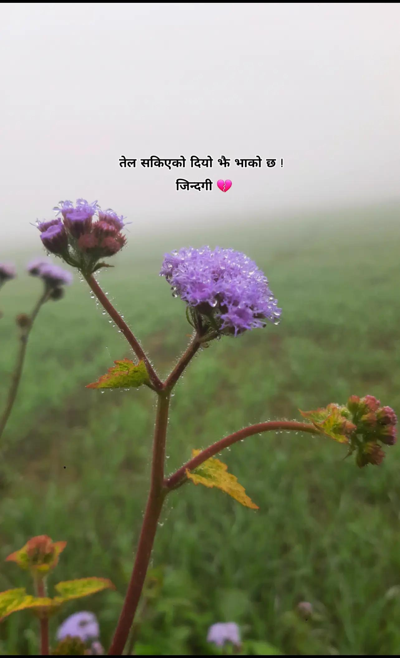 @सम्झनाका पल हरु !❣️