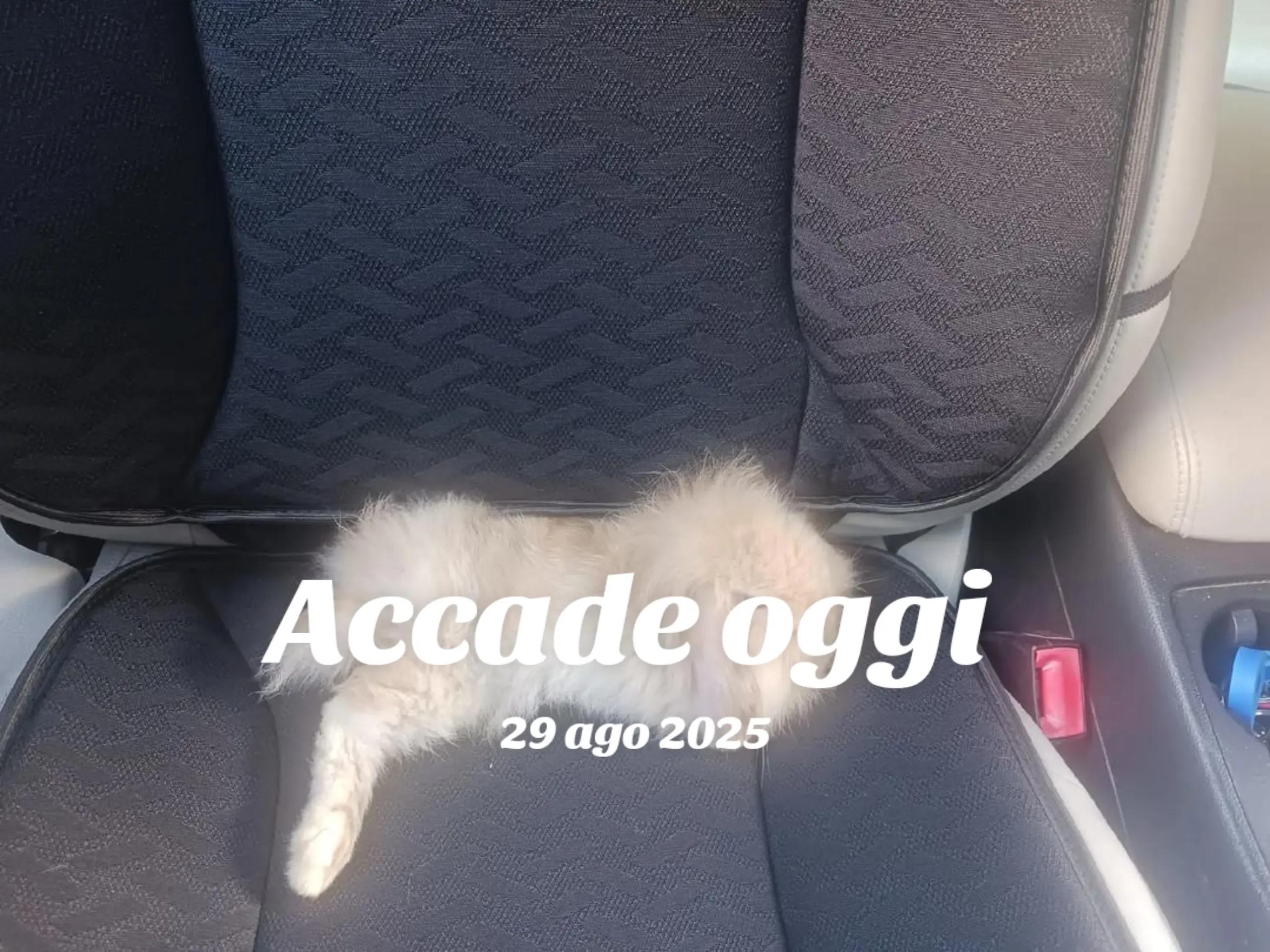@NicaVero
