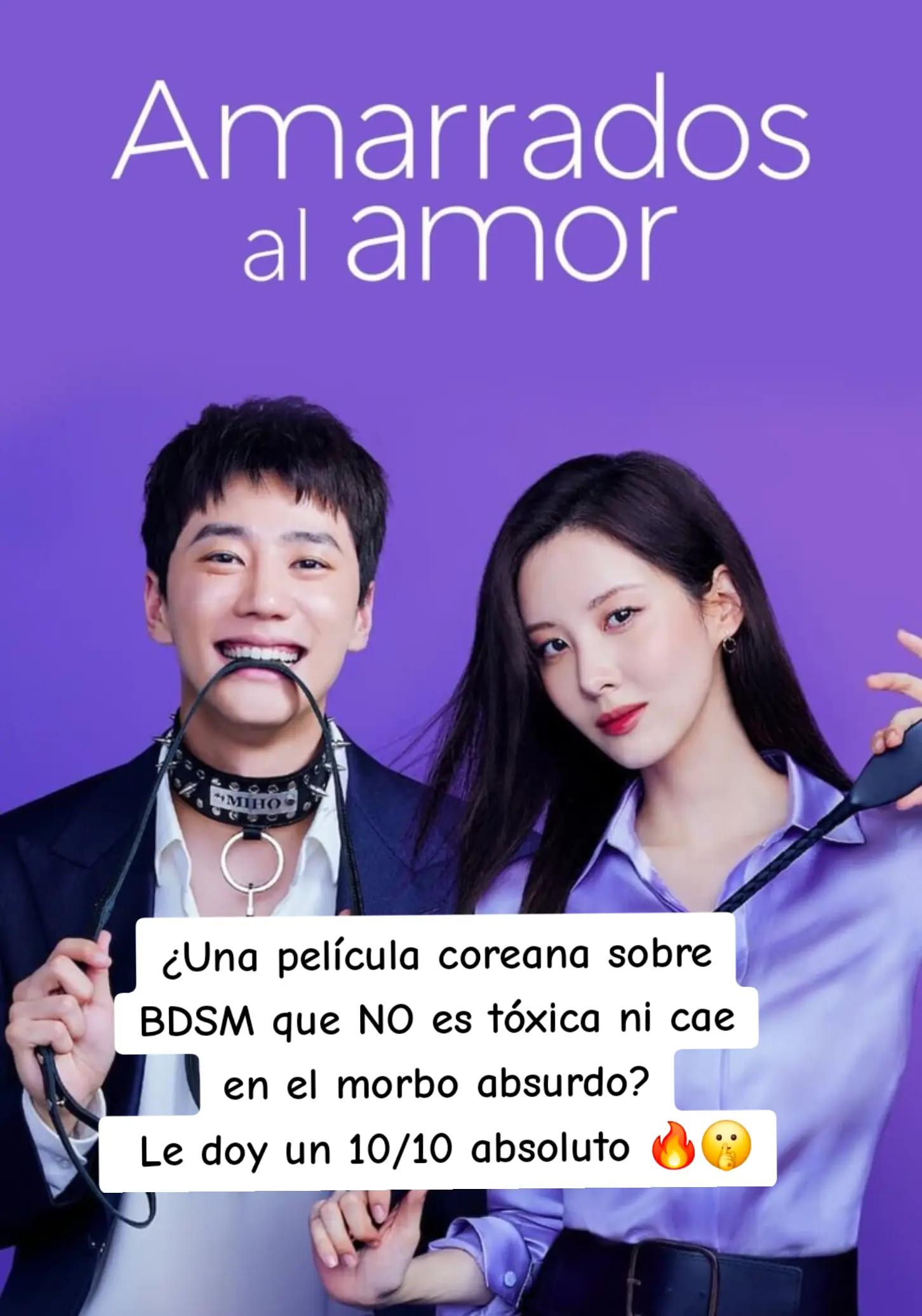 @엘리베스 o Elibeth 🤭