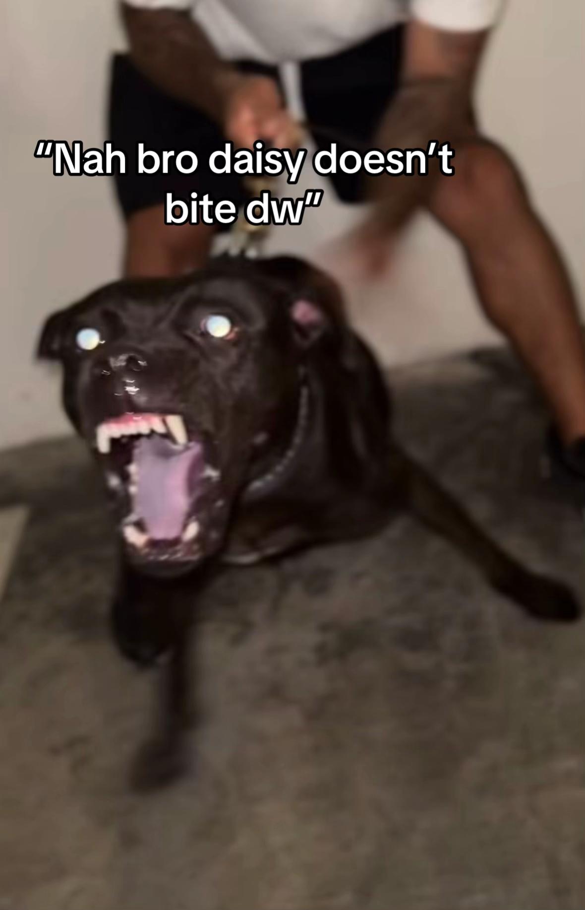 @klawhqqz
