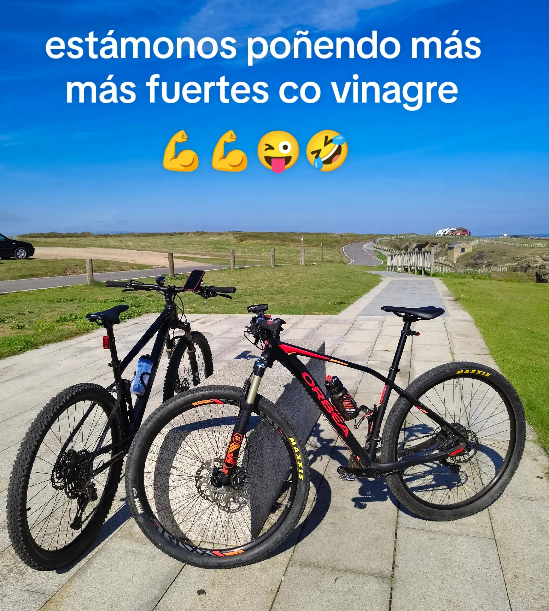 @freixo