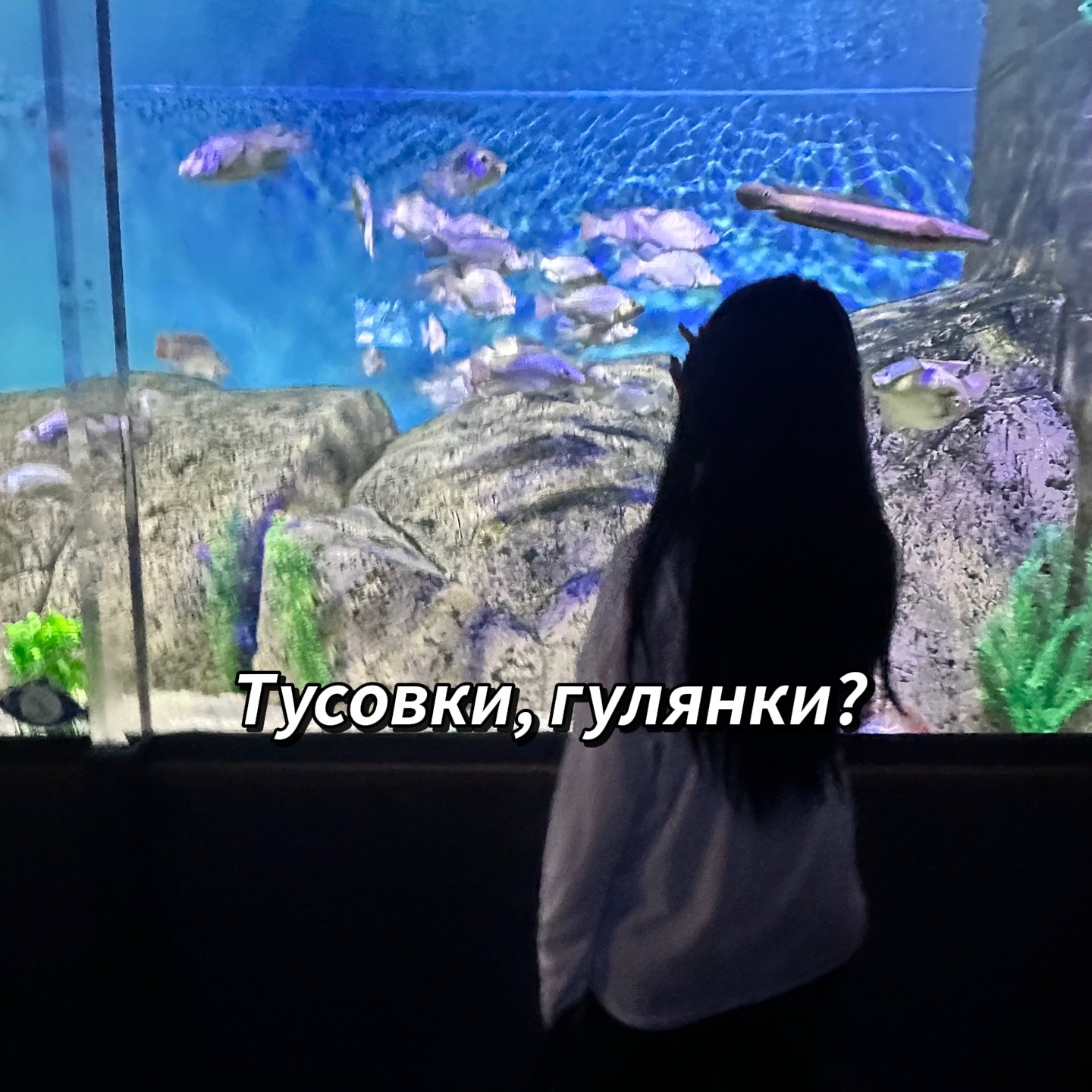 @0_zero_56