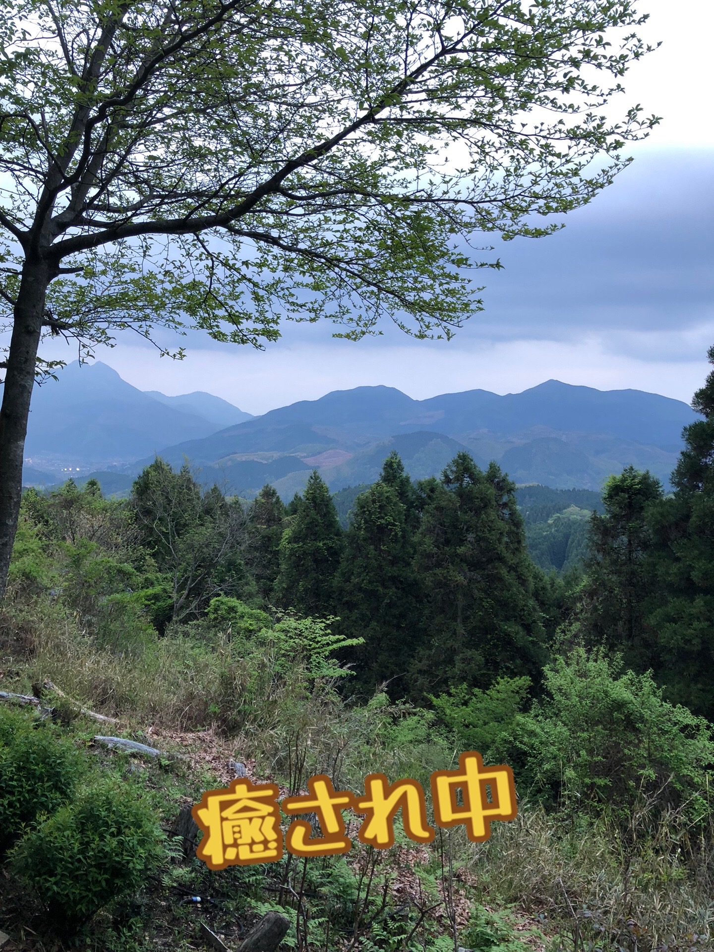 @miyuki._.2426