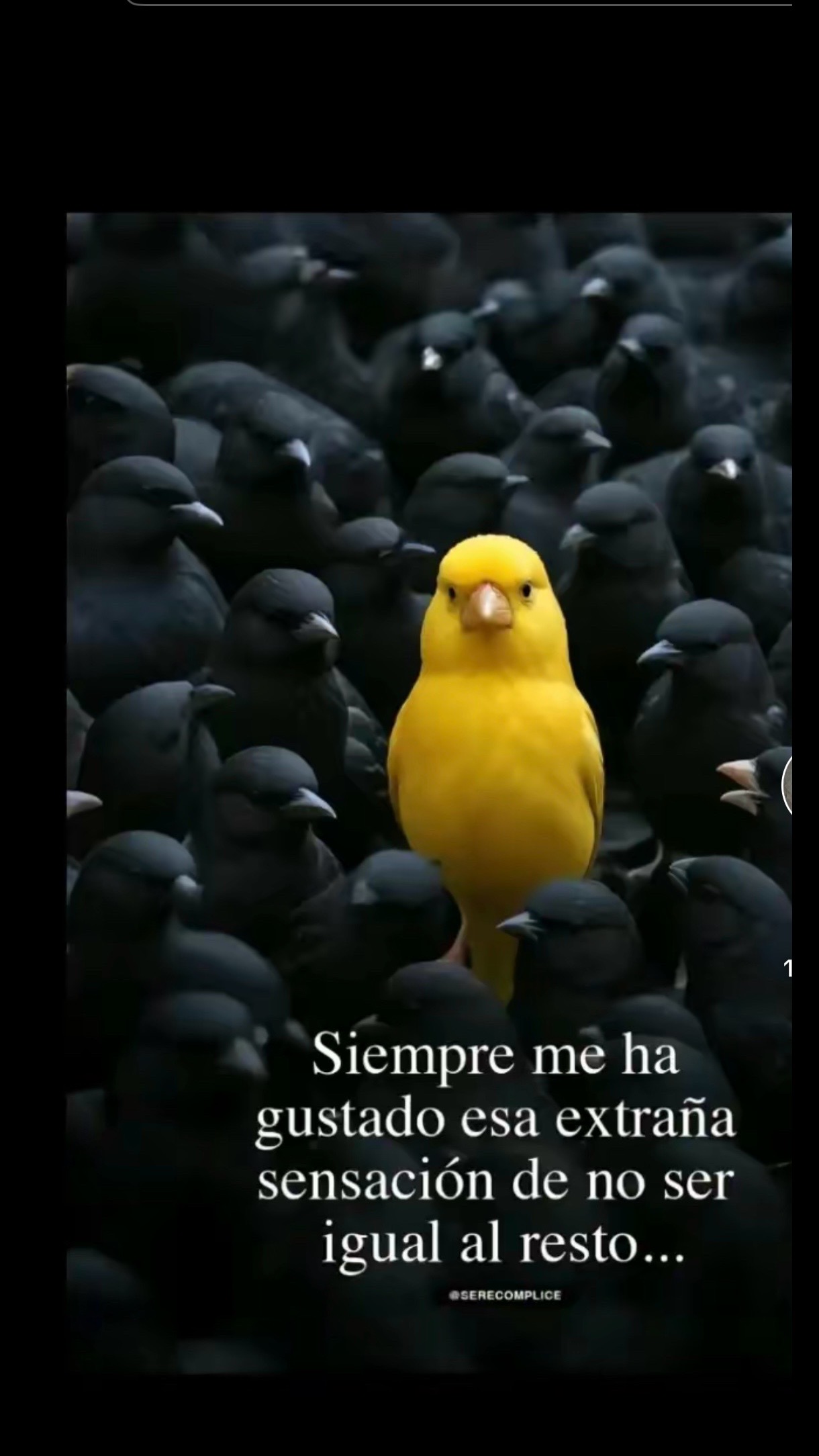 @Gigi