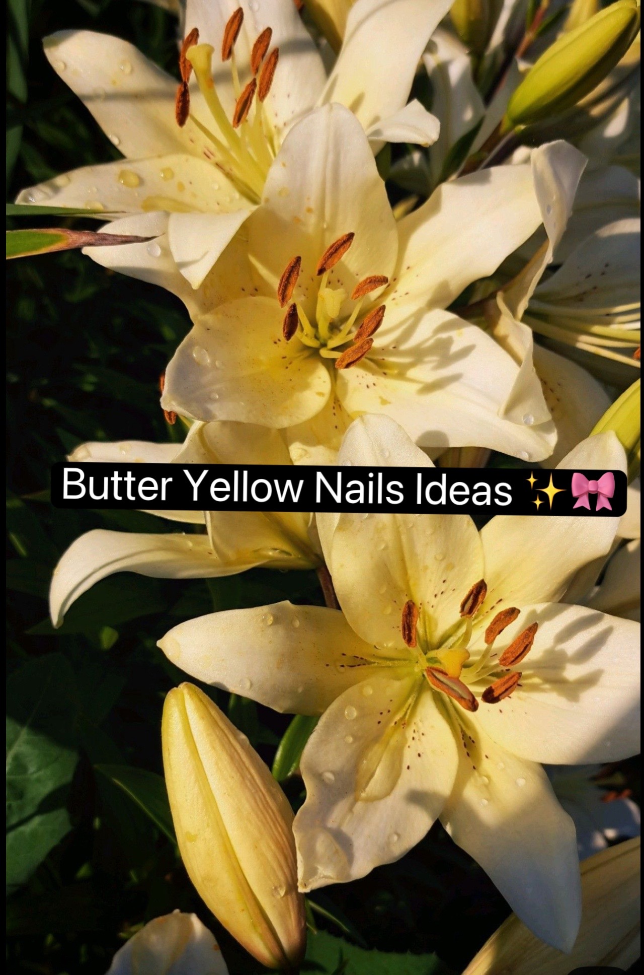 @Kim JJ / GelX - Nail Tech 🎀