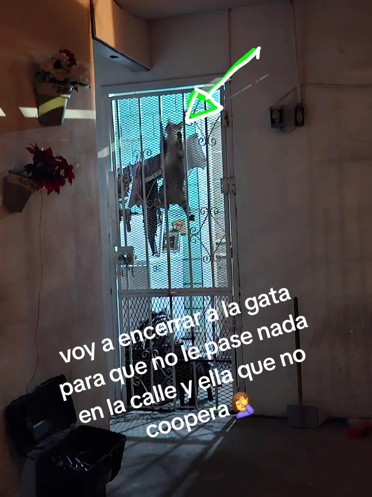 @Isabel Hernández