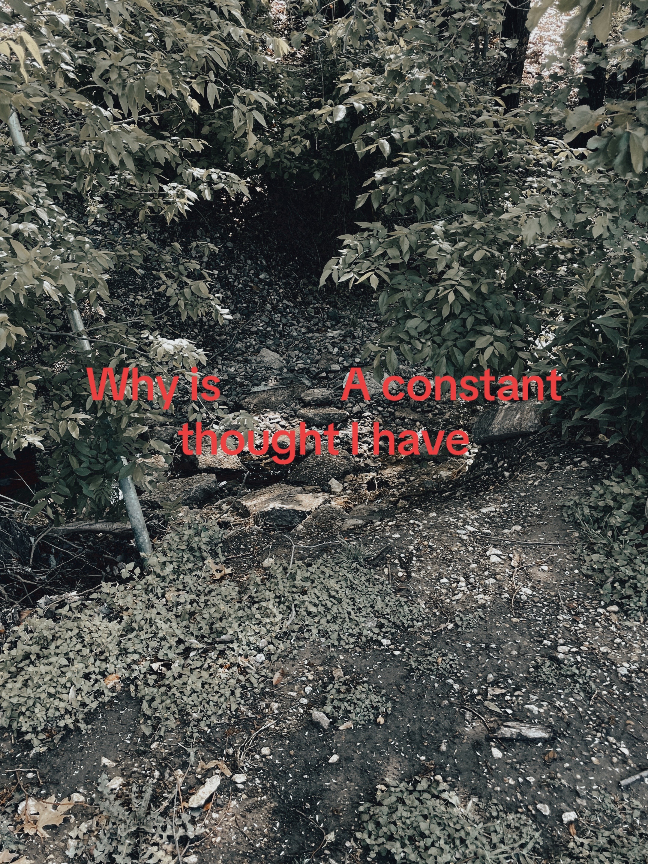 @༒𝔏𝔬𝔰𝔢𝔯༒