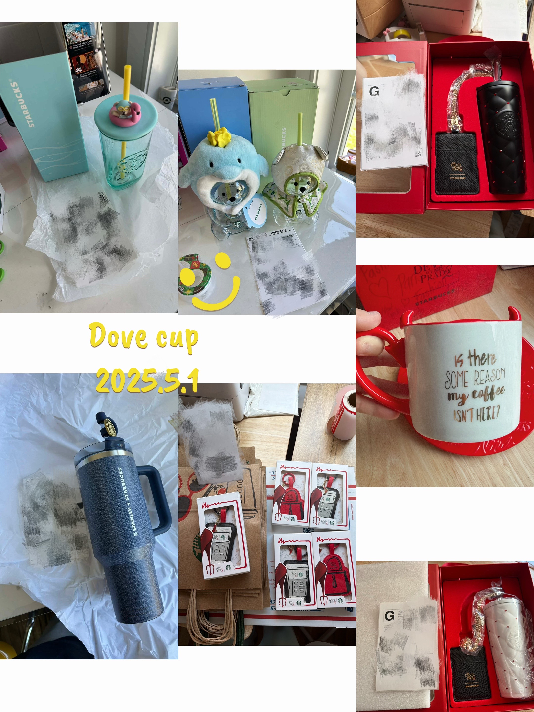 @Dove cup