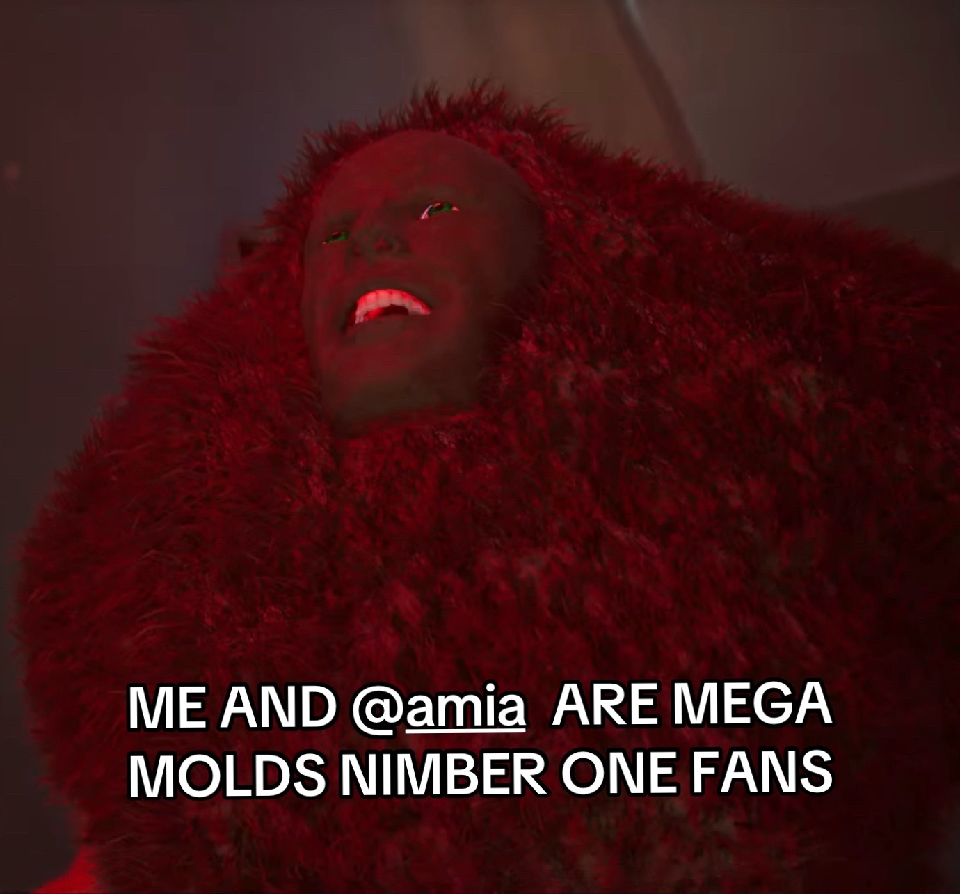 @Riley!!!(bots 1# fan)