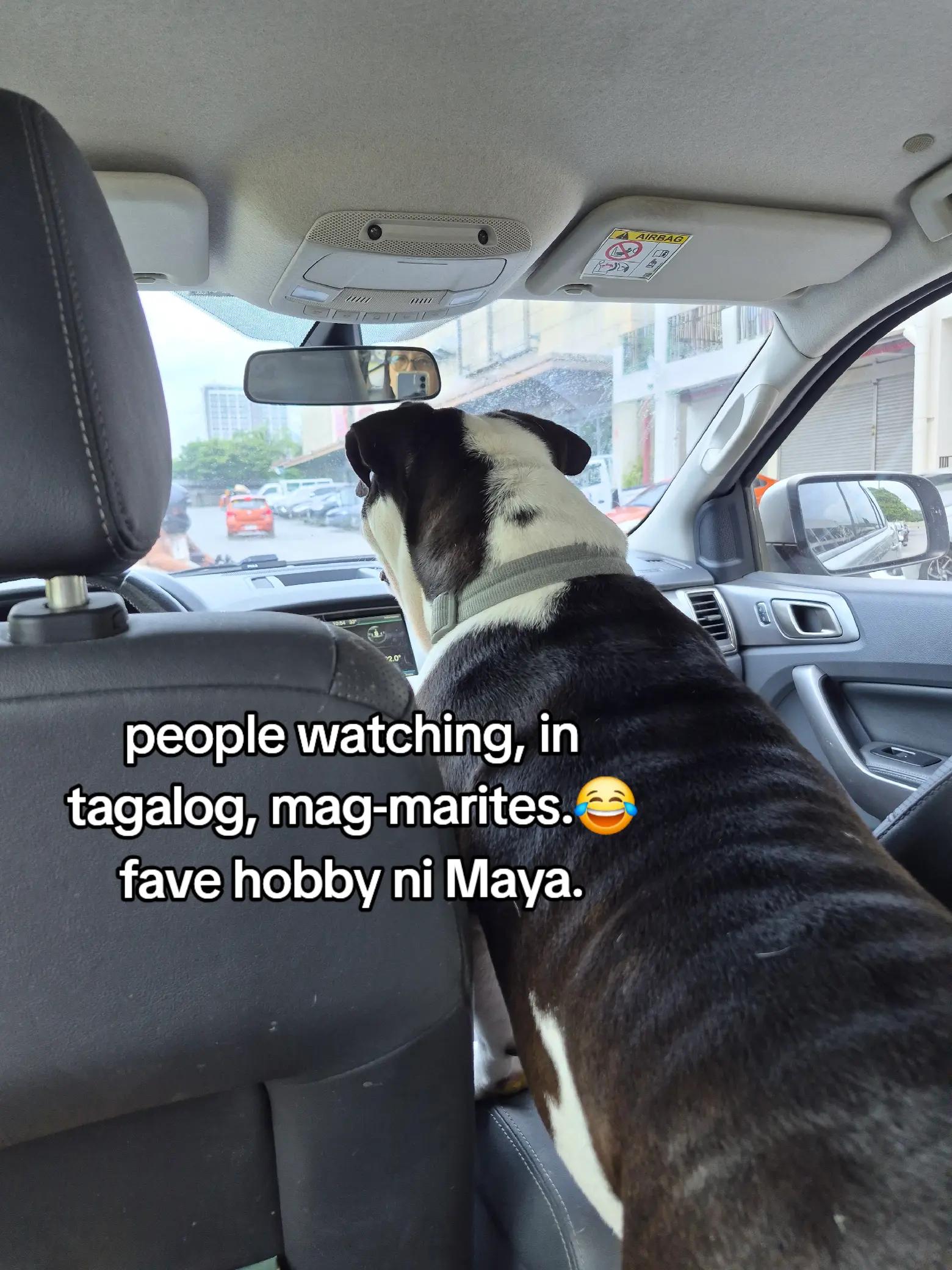 @Klay + Maya + Jackie B
