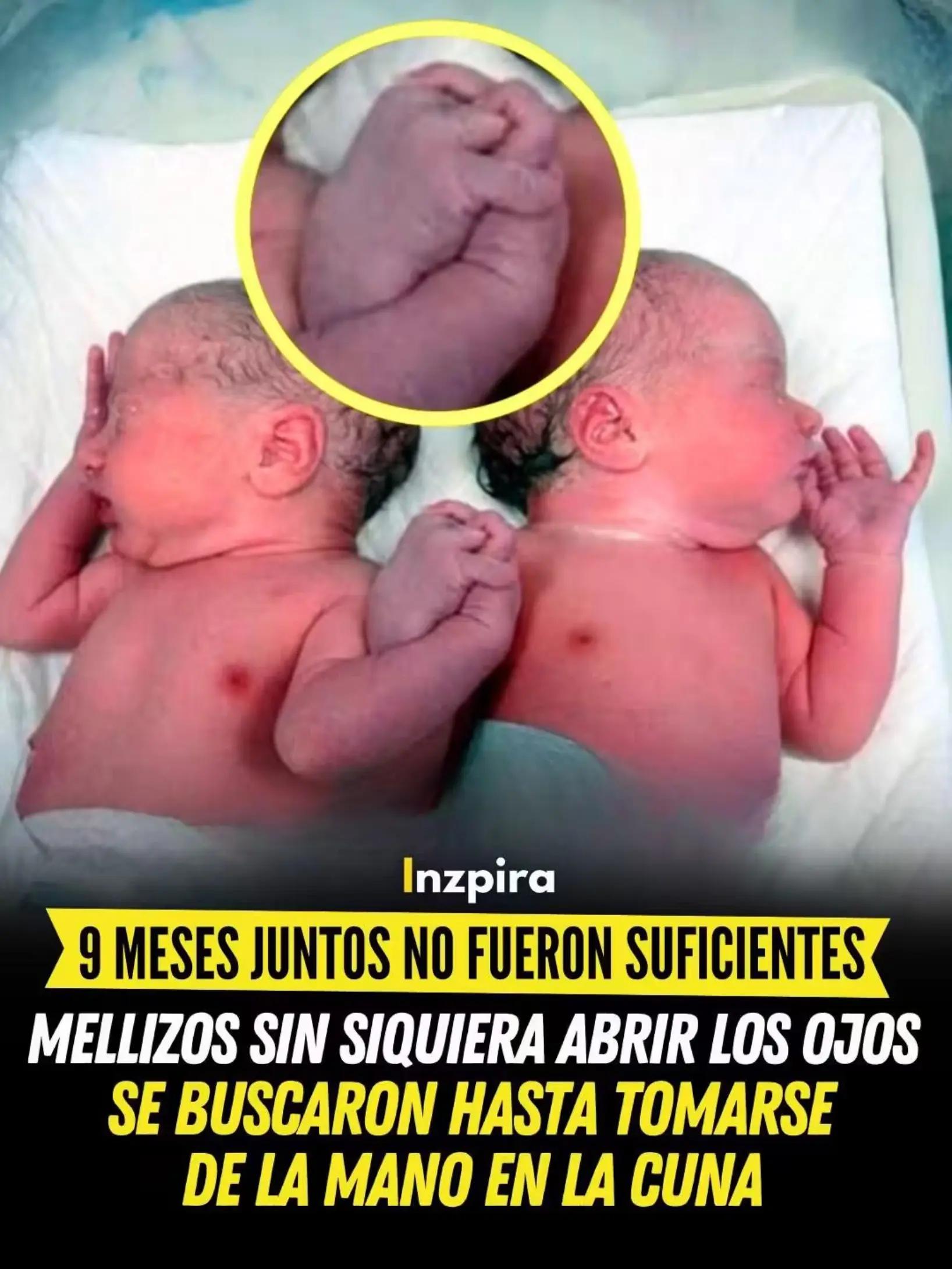 @GENESISLAPROFETA🌈🔮🍀