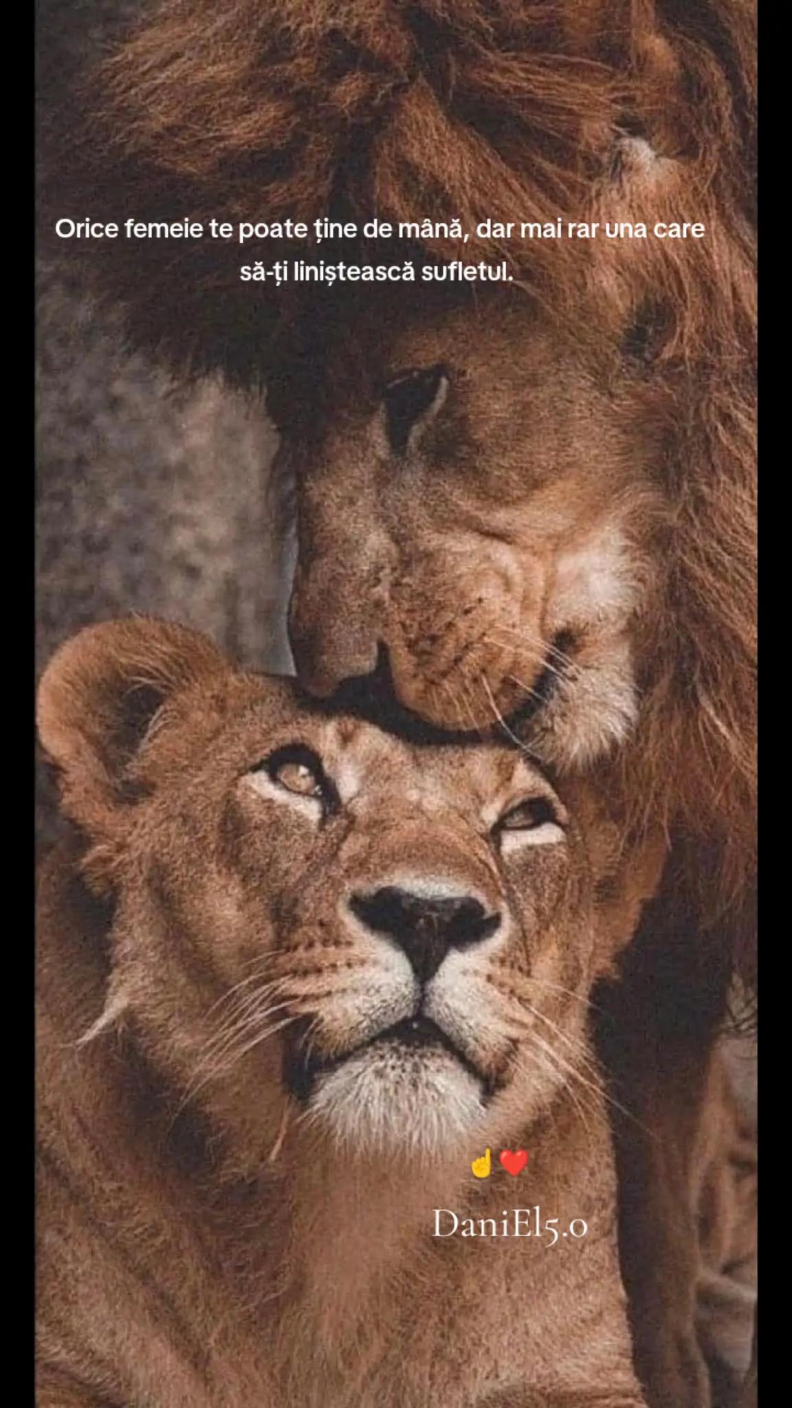 @☯ DaniEl 5.1 ٨ـﮩﮩـ