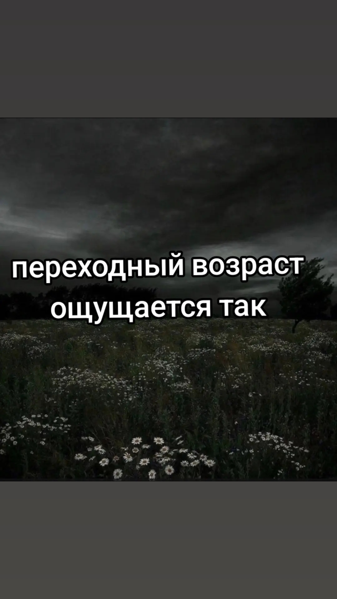 @щп