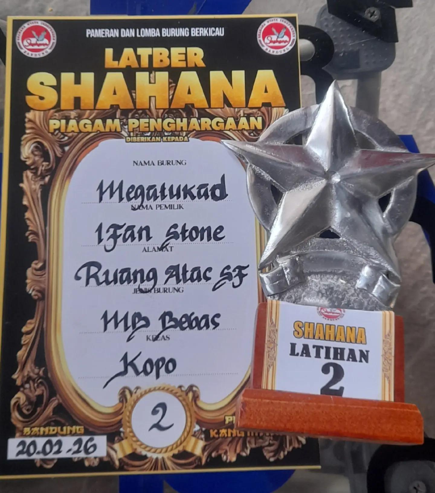 @IFAN STONE
