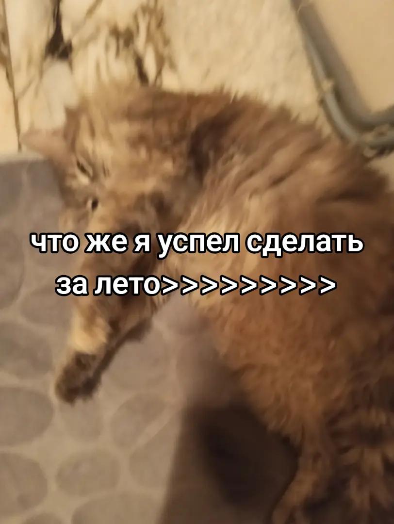@прушка