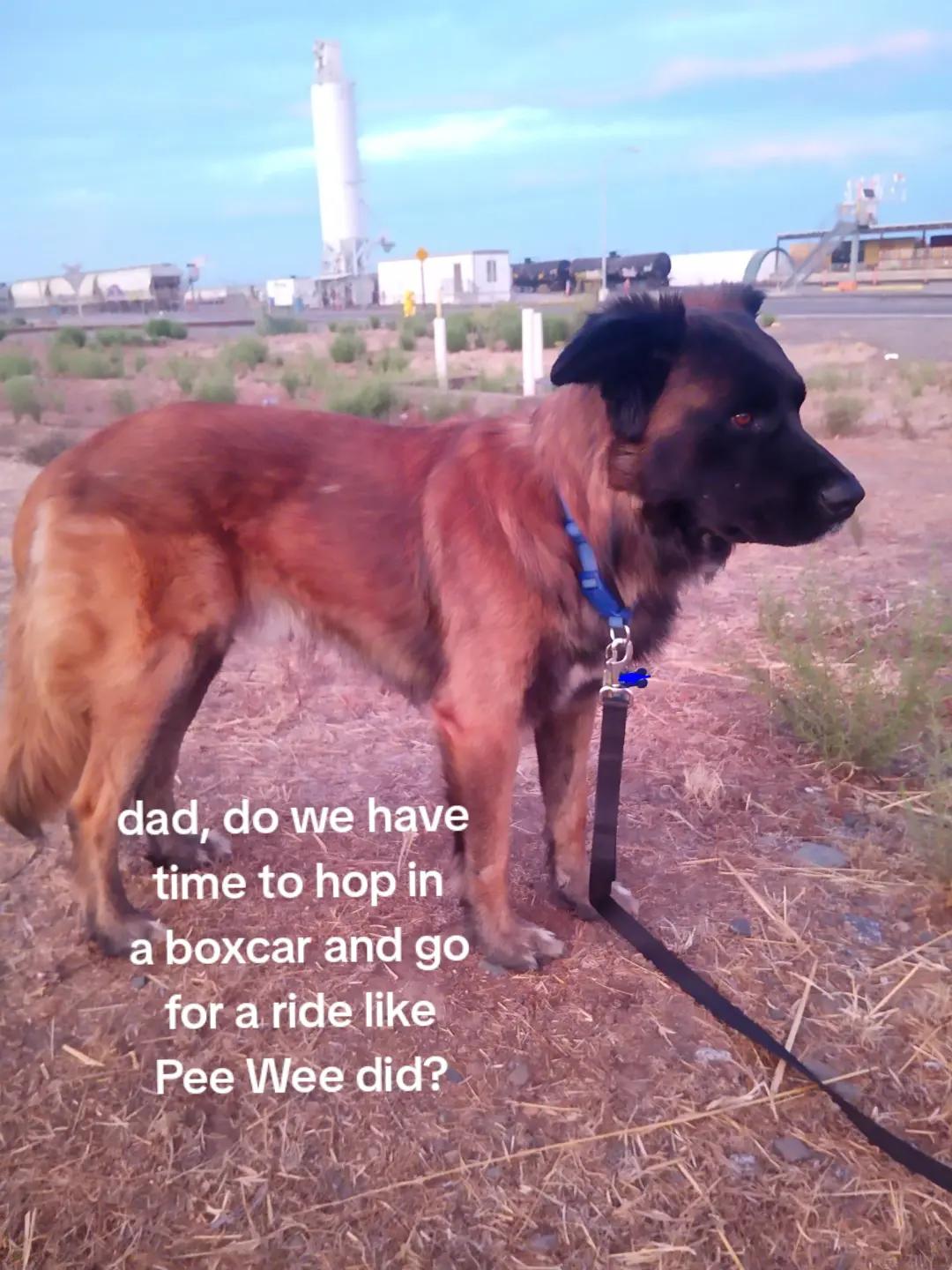 @trucker John