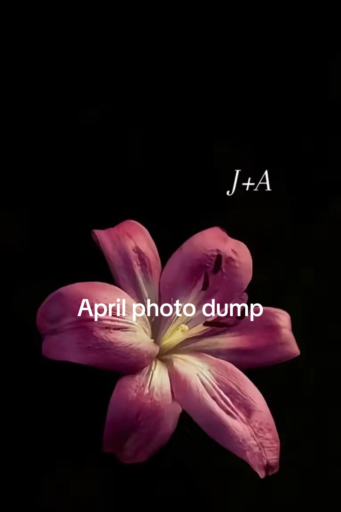 @addy.may6