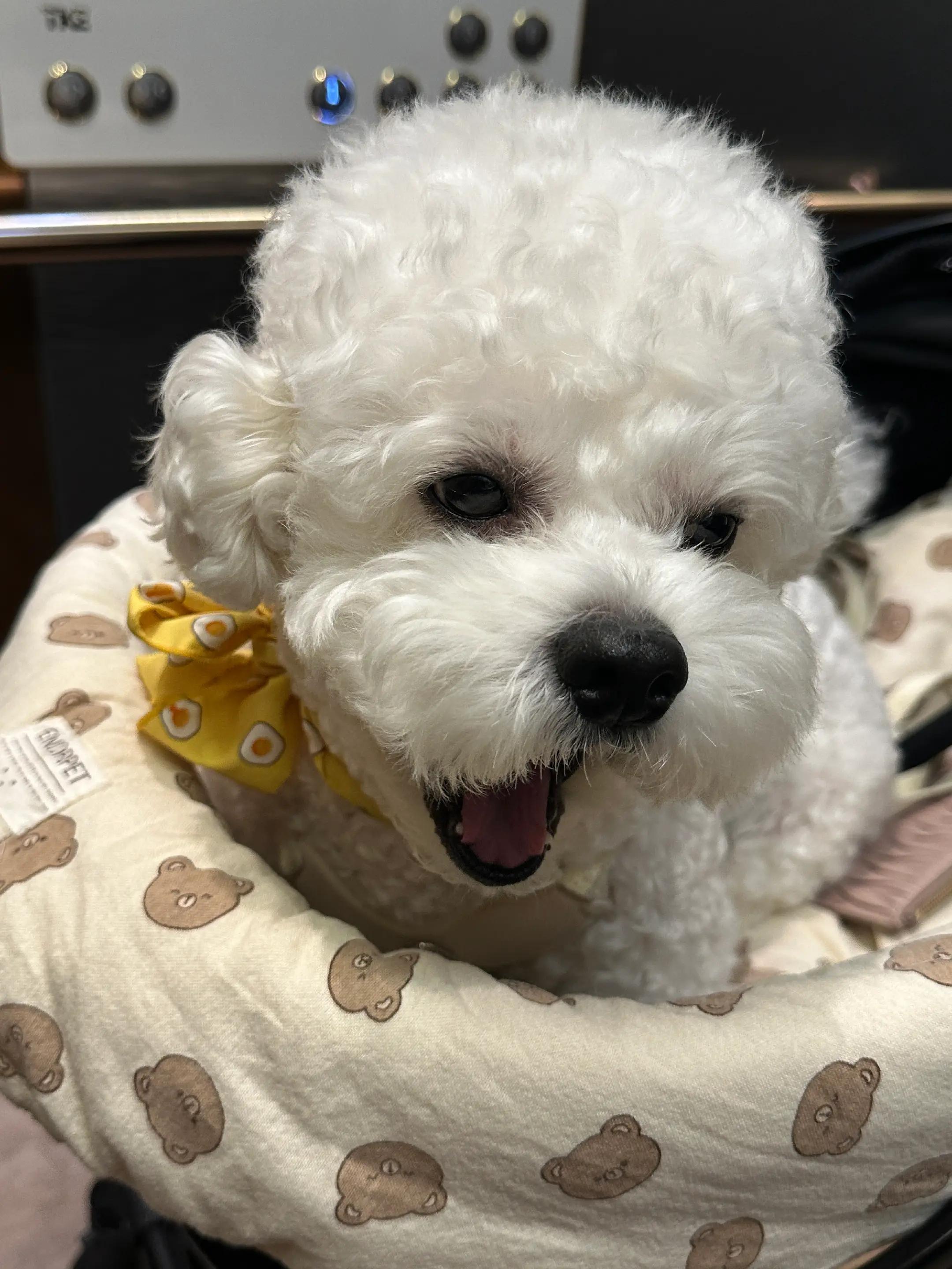 @식빵