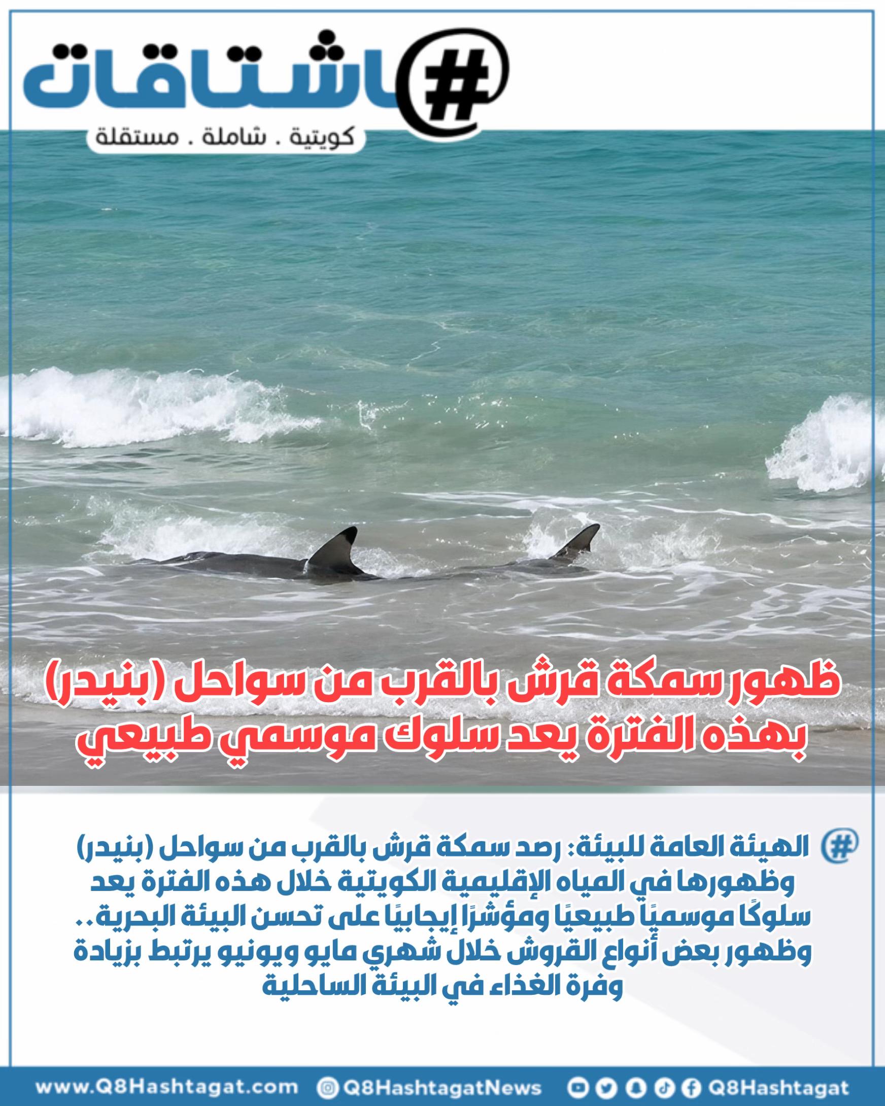 @Q8hashtagat هاشتاقات الكويت