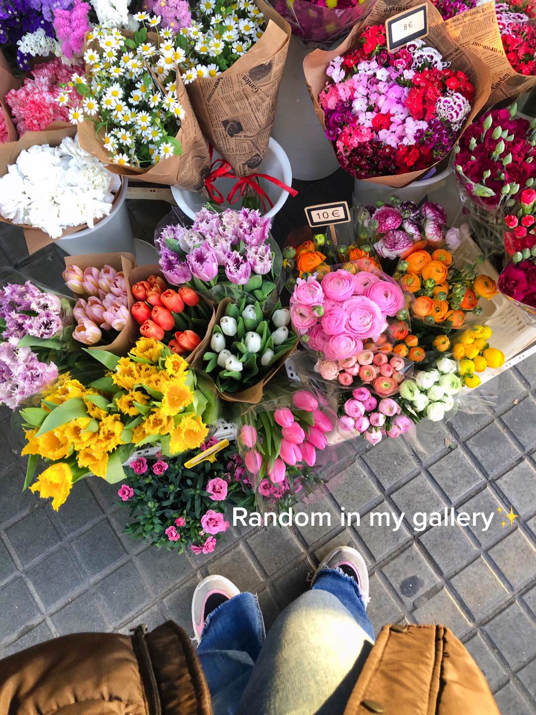 @Blaackrosesd