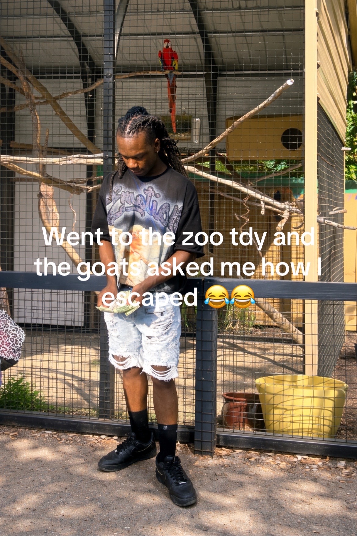 @Chief