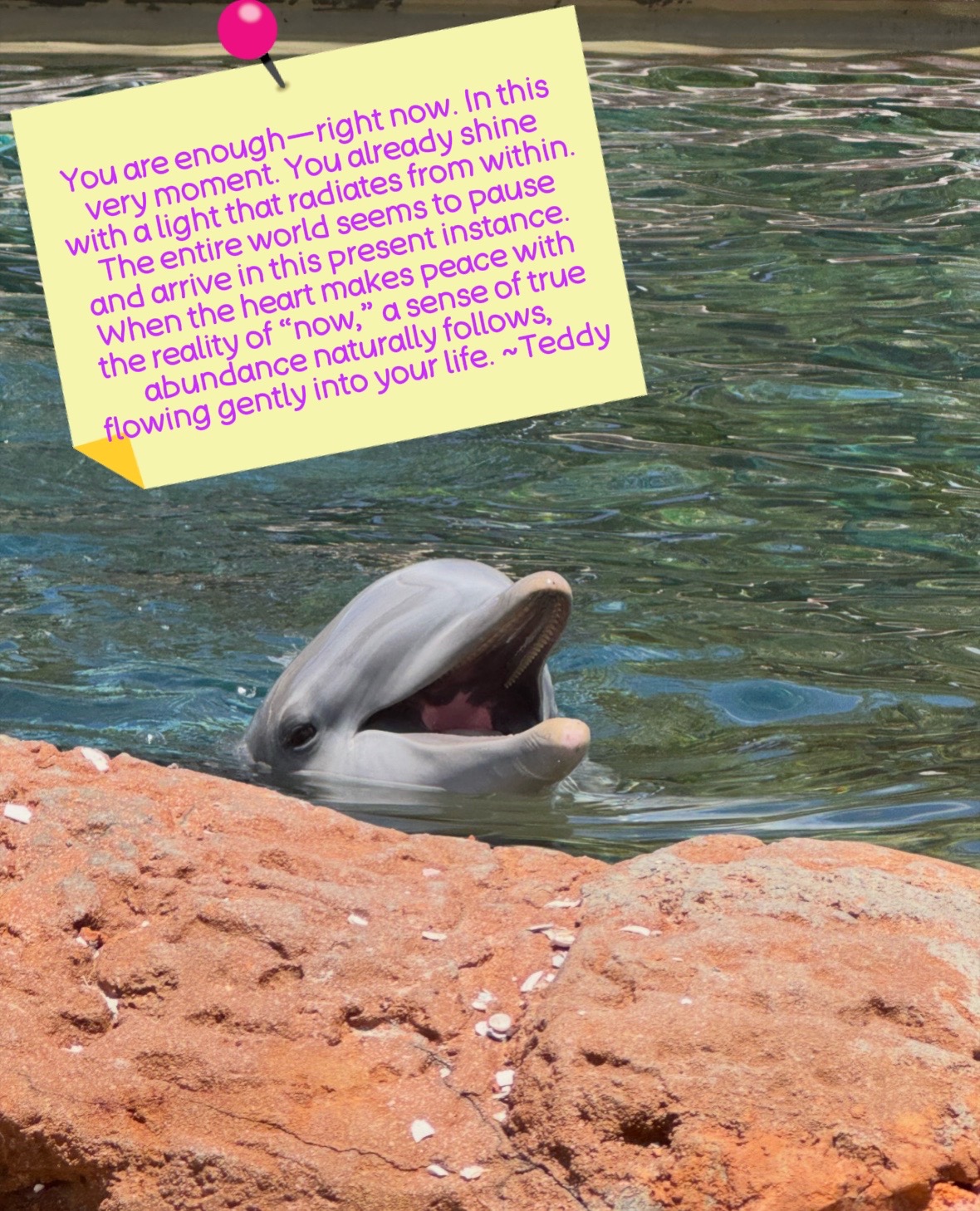 @teddysspiritualworld