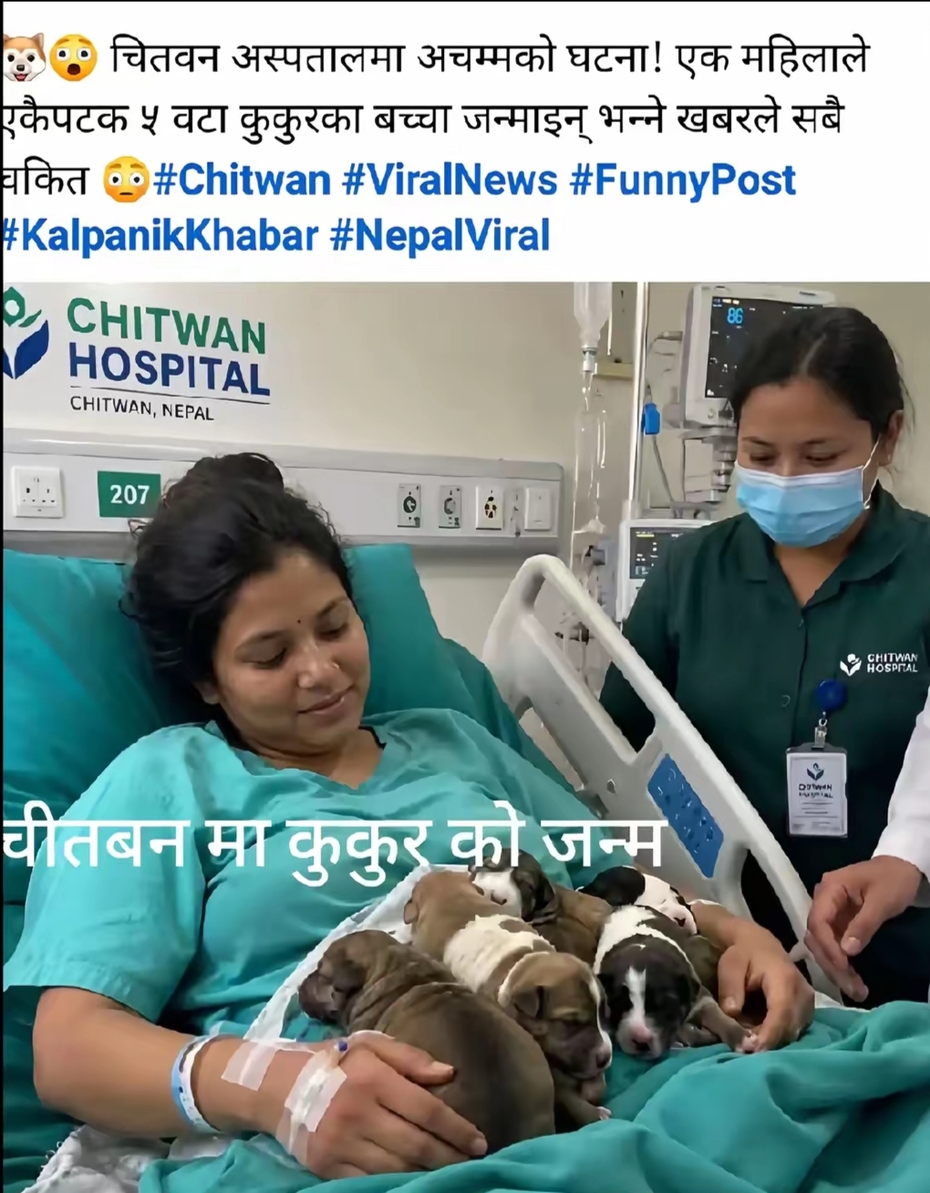 @Laxmi shah