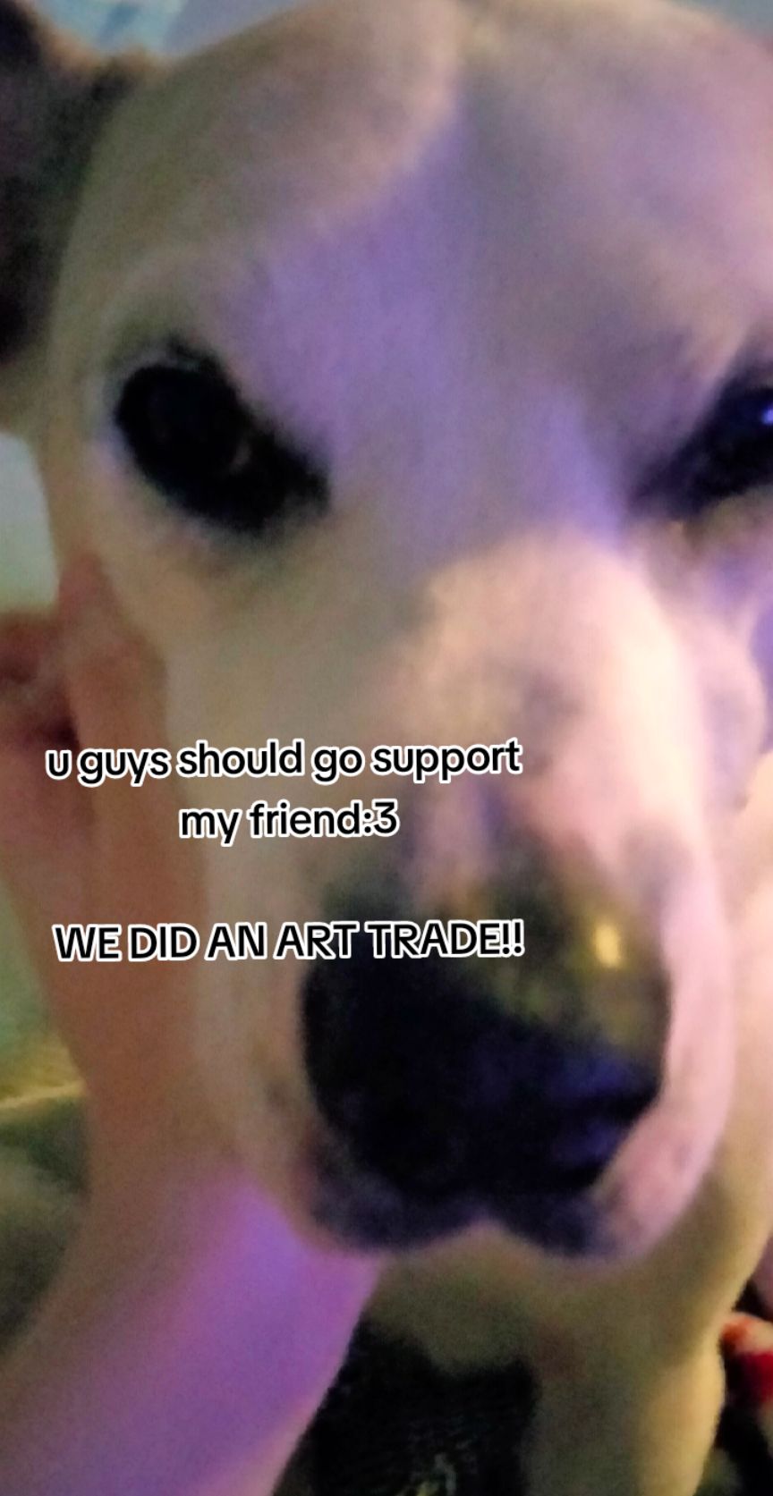 @ali / sal ☆ !!