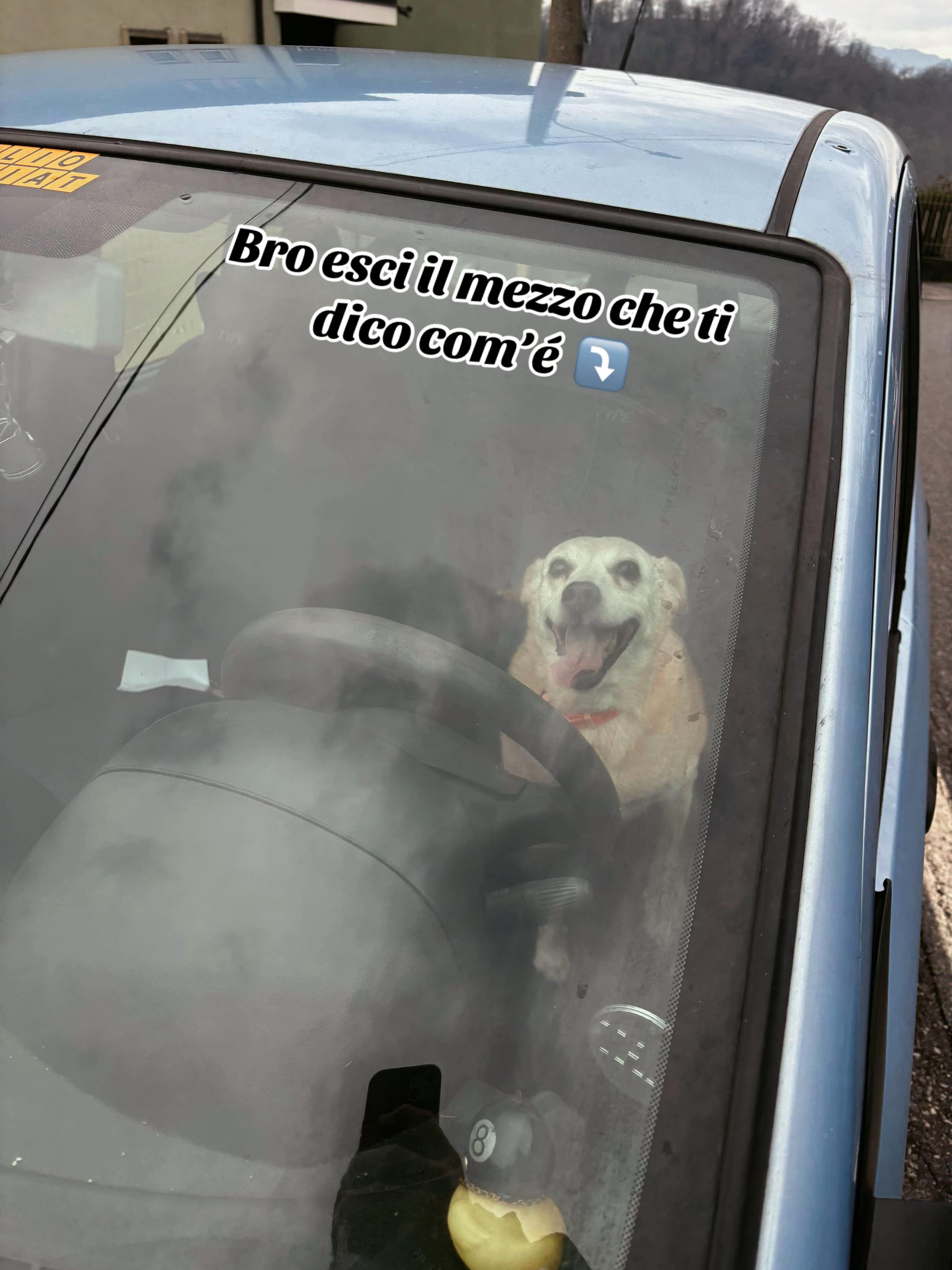 @Da.carminati