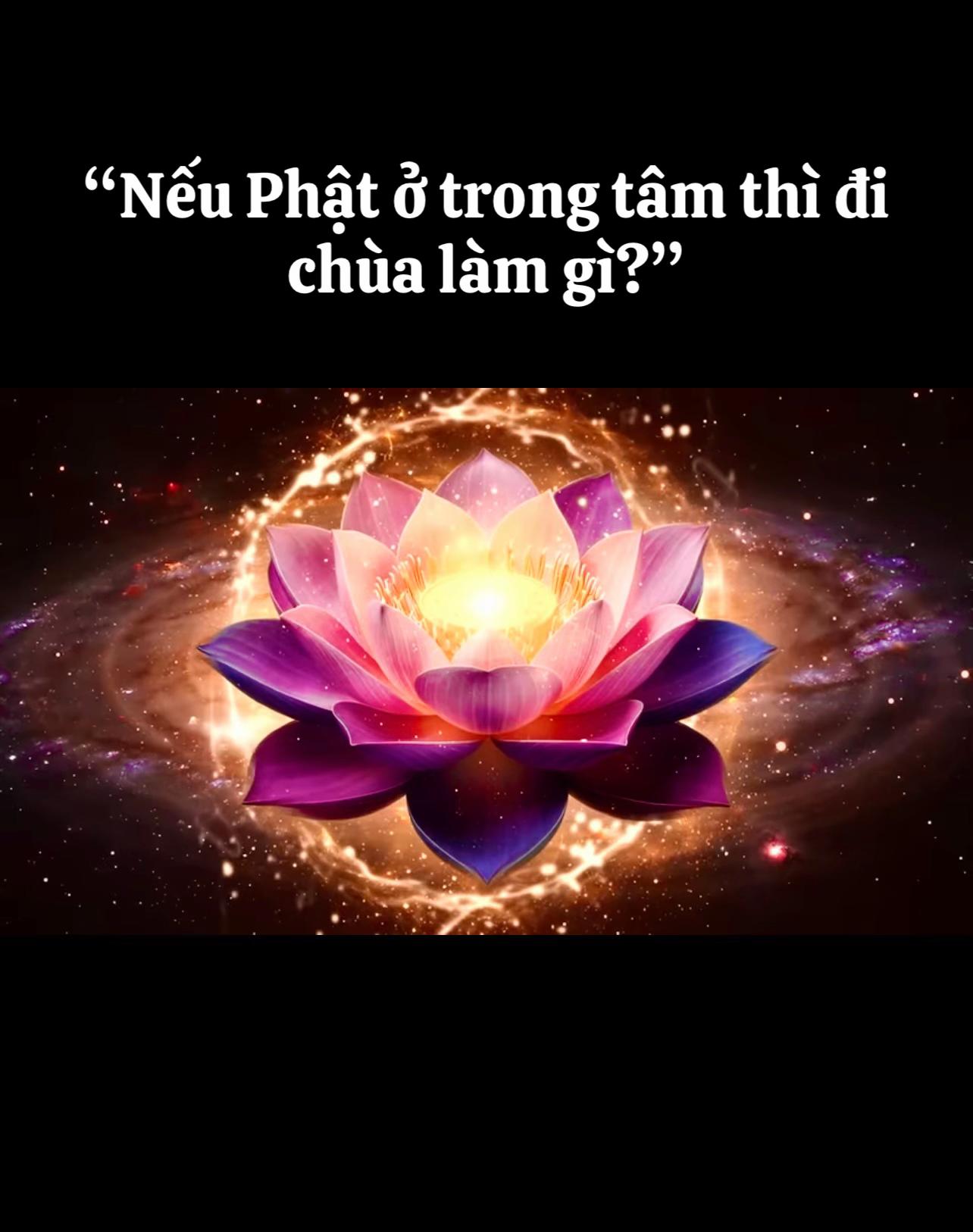 @buihoangbichtho