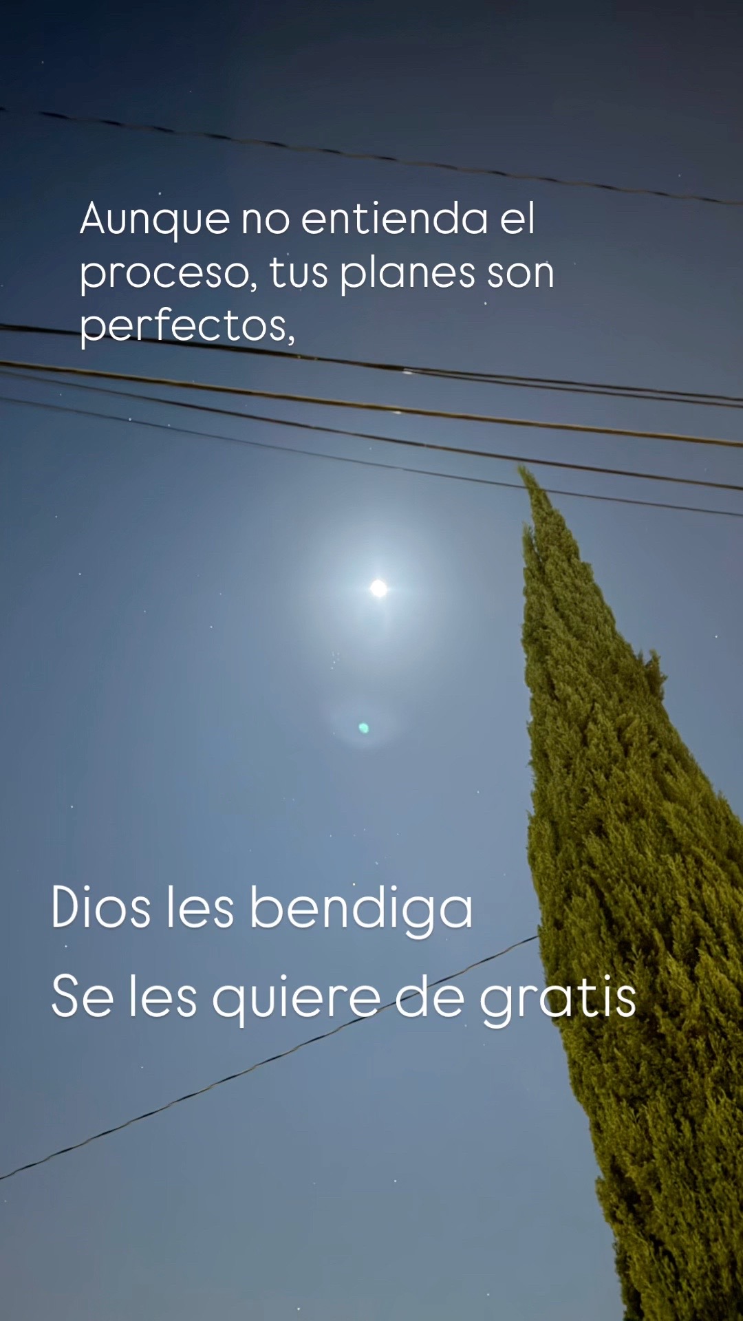 @Mainor Garcia