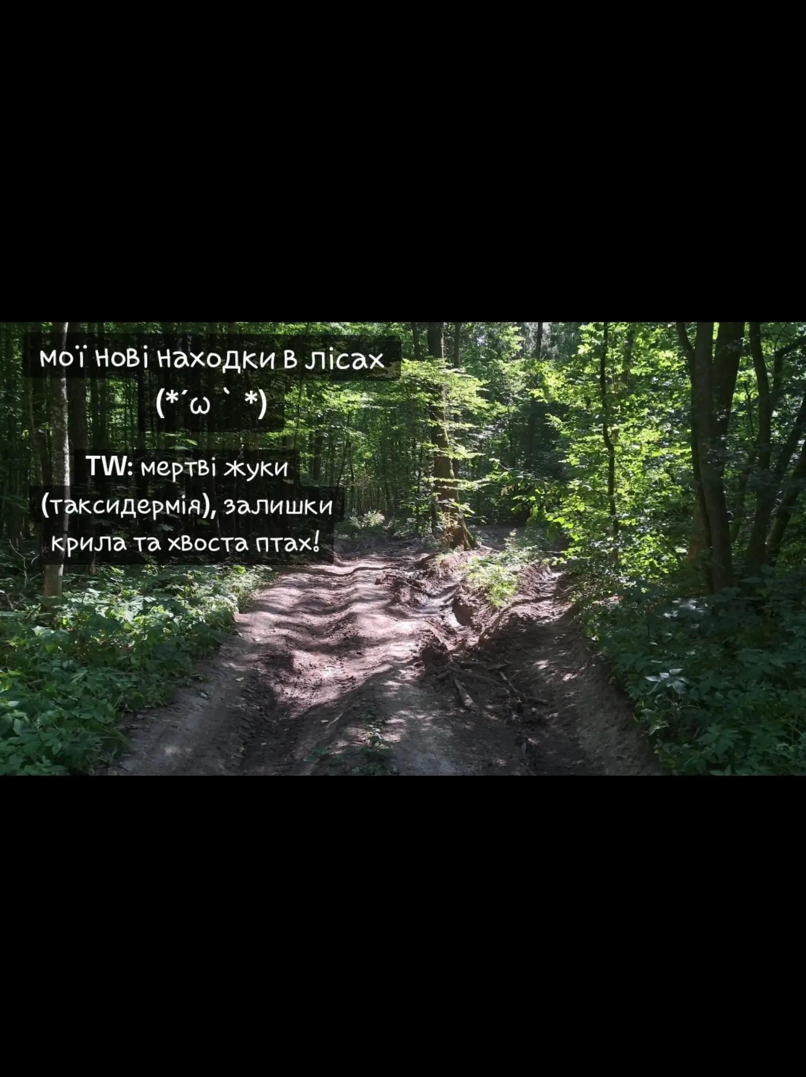 @панкейк соня🇺🇦|🌍🍝/ᵃⁿᵈ ᵒⁿᵉ