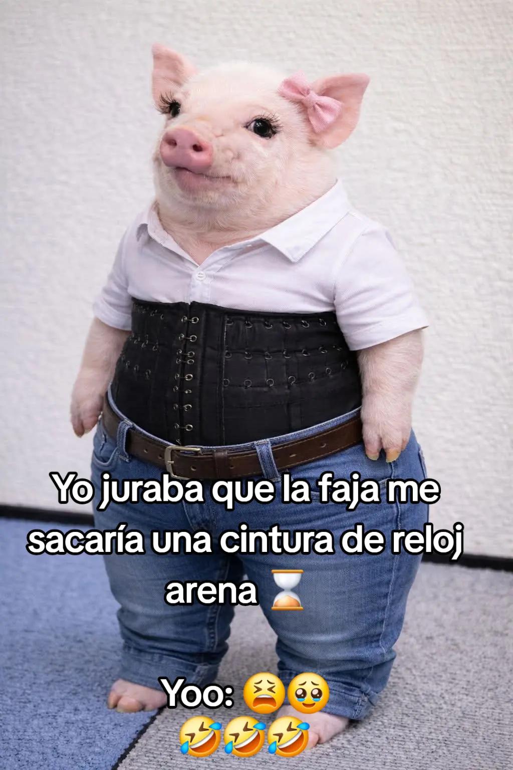@ingridm