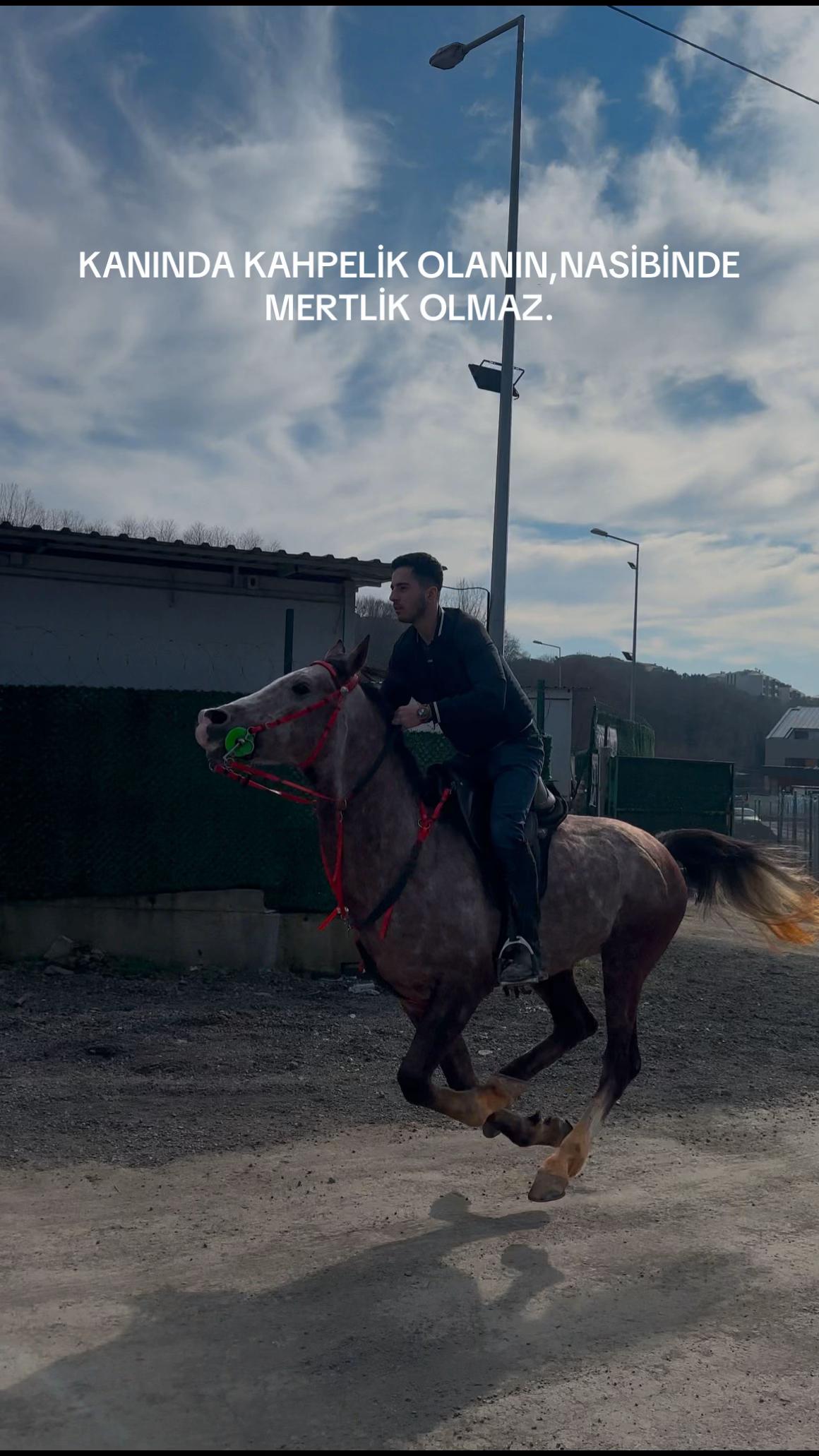 @ey&uuml;p deryal