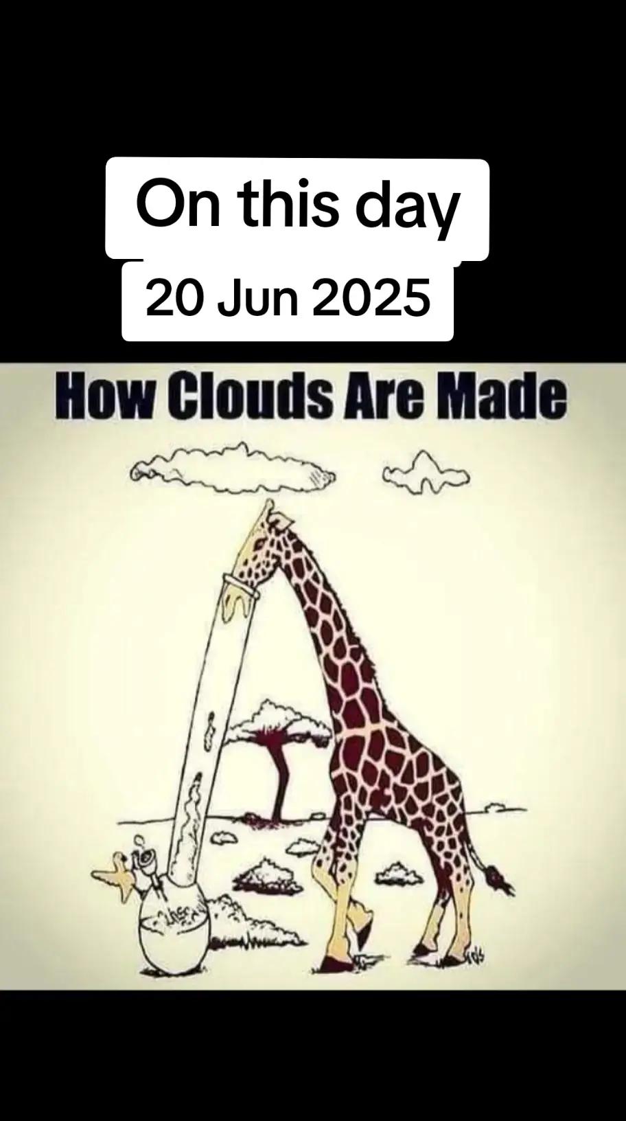 @Yank De Cecy Diaz