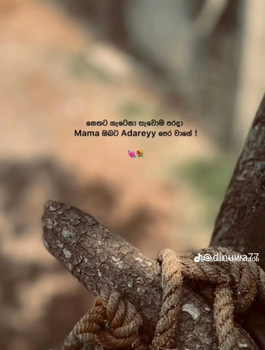 @|| 𝗞𝗔𝗩𝗜𝗬𝗔 🦕🫀