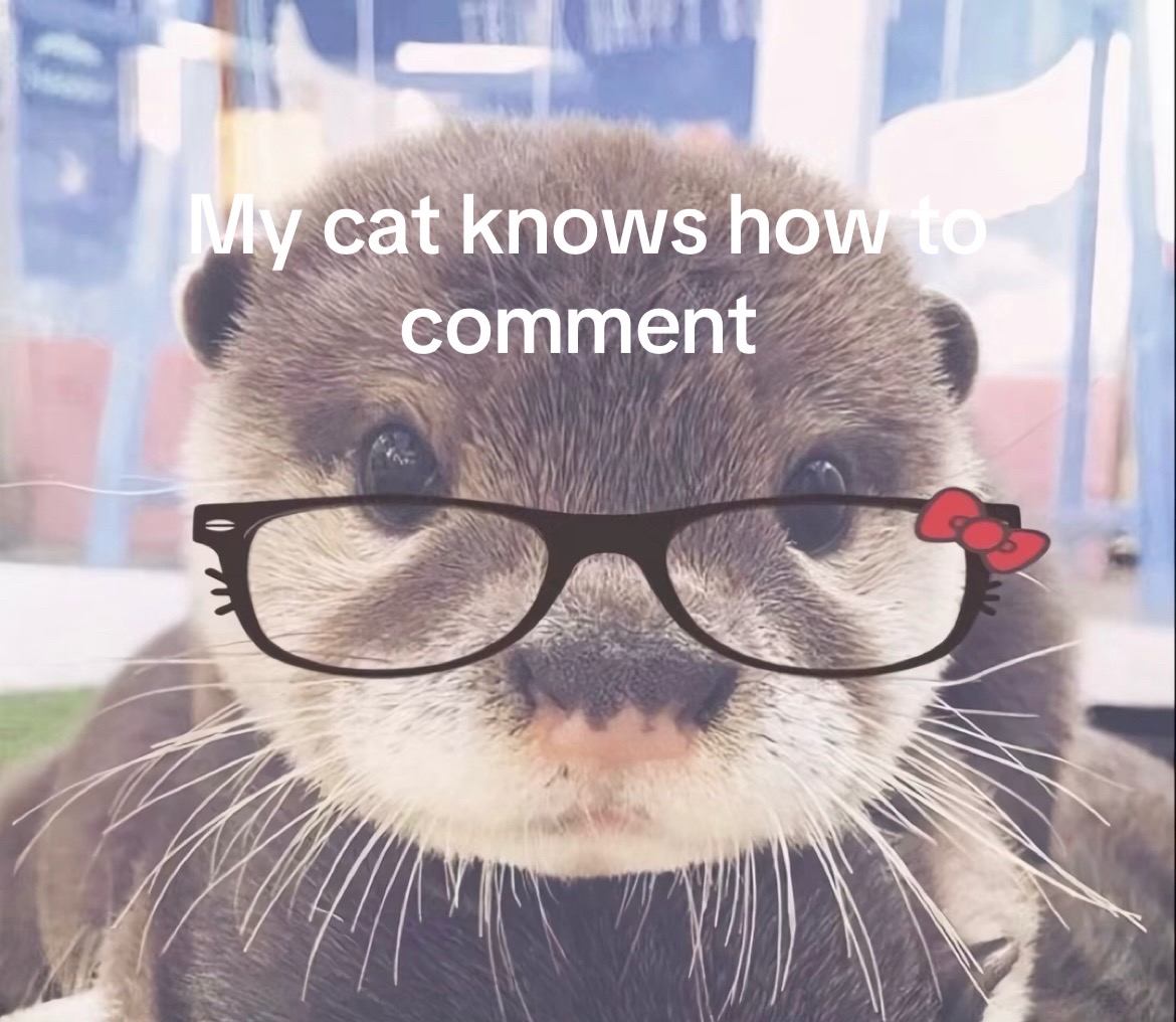 @me and my other cats。