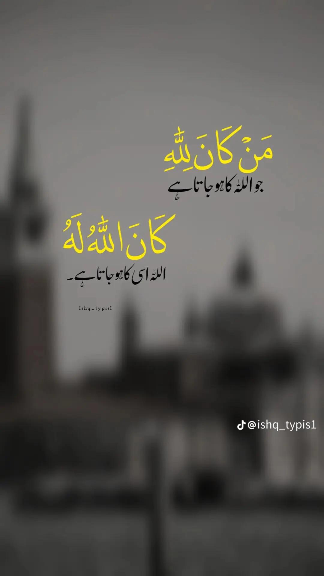 @میوء بادشاہ 👑👑👑