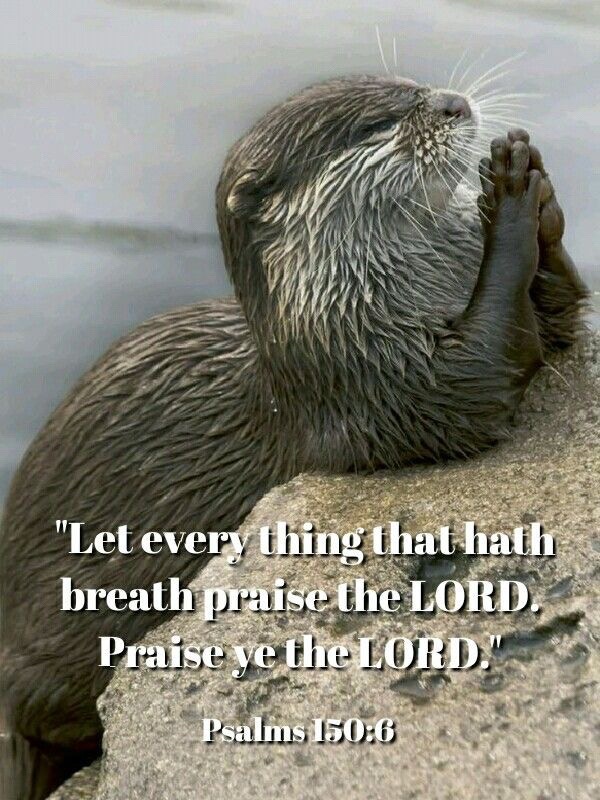 @JESUS CHRIST IS LORD✝️