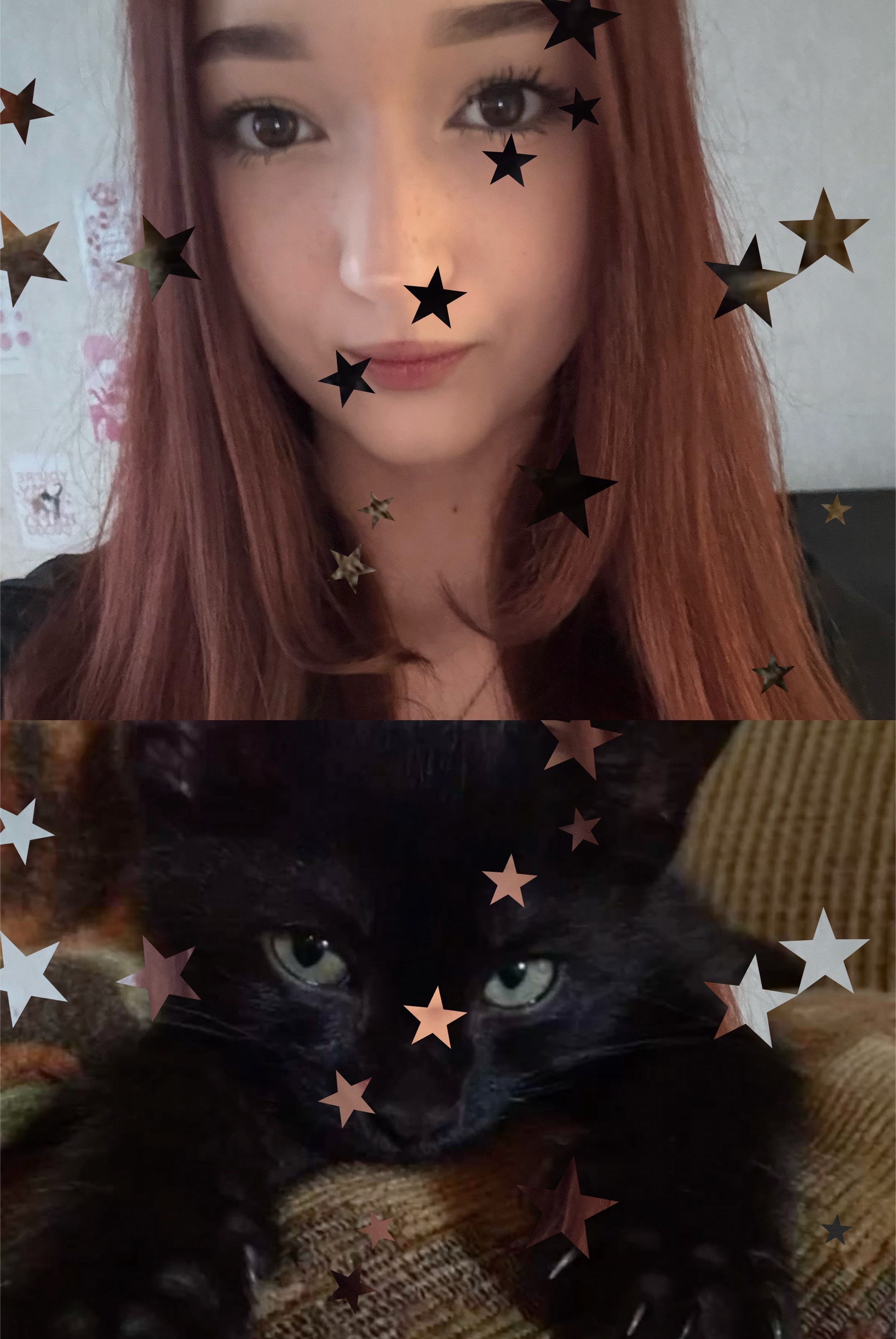 @никаля🐈⬛