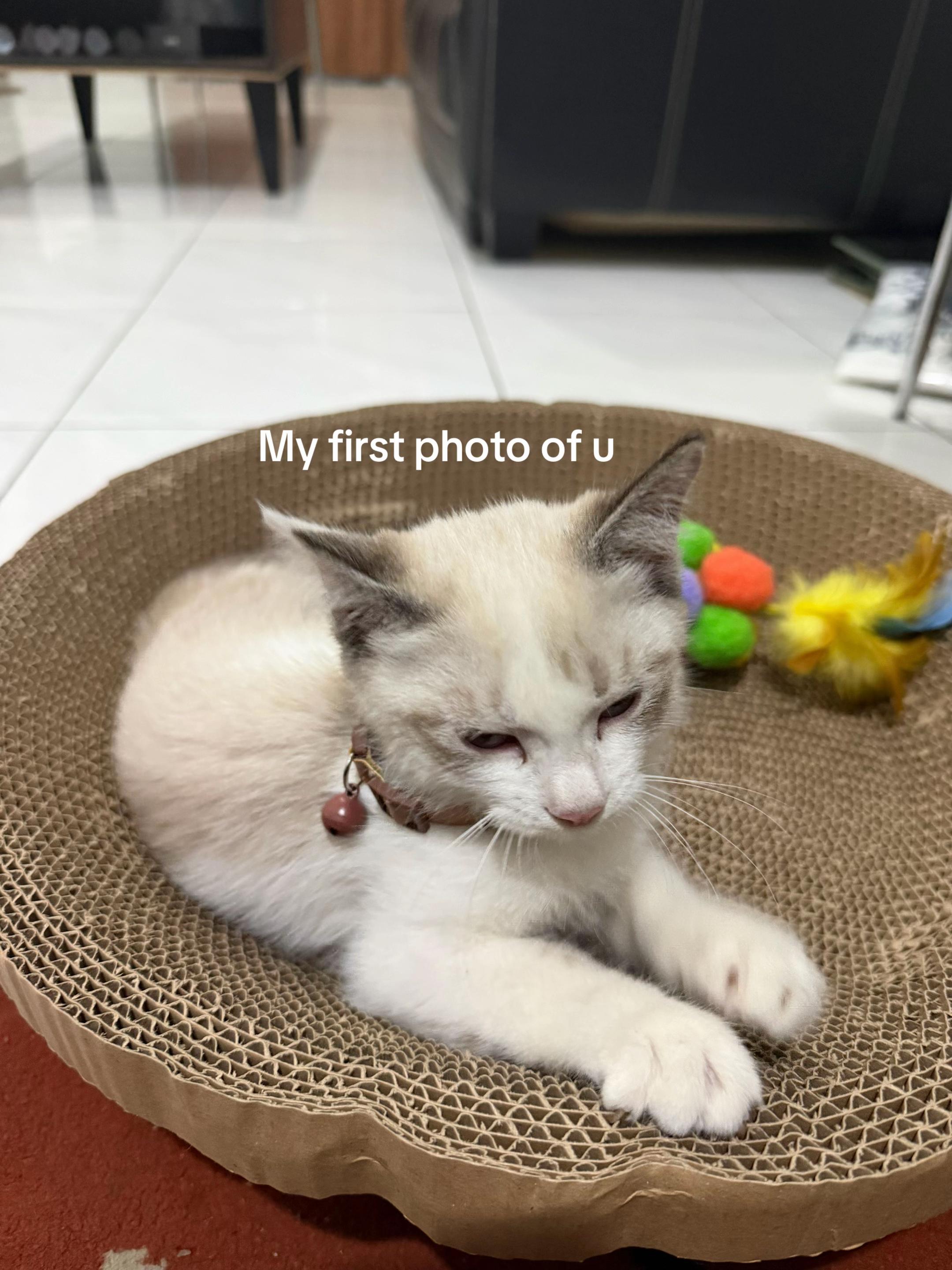 @Yashh meee