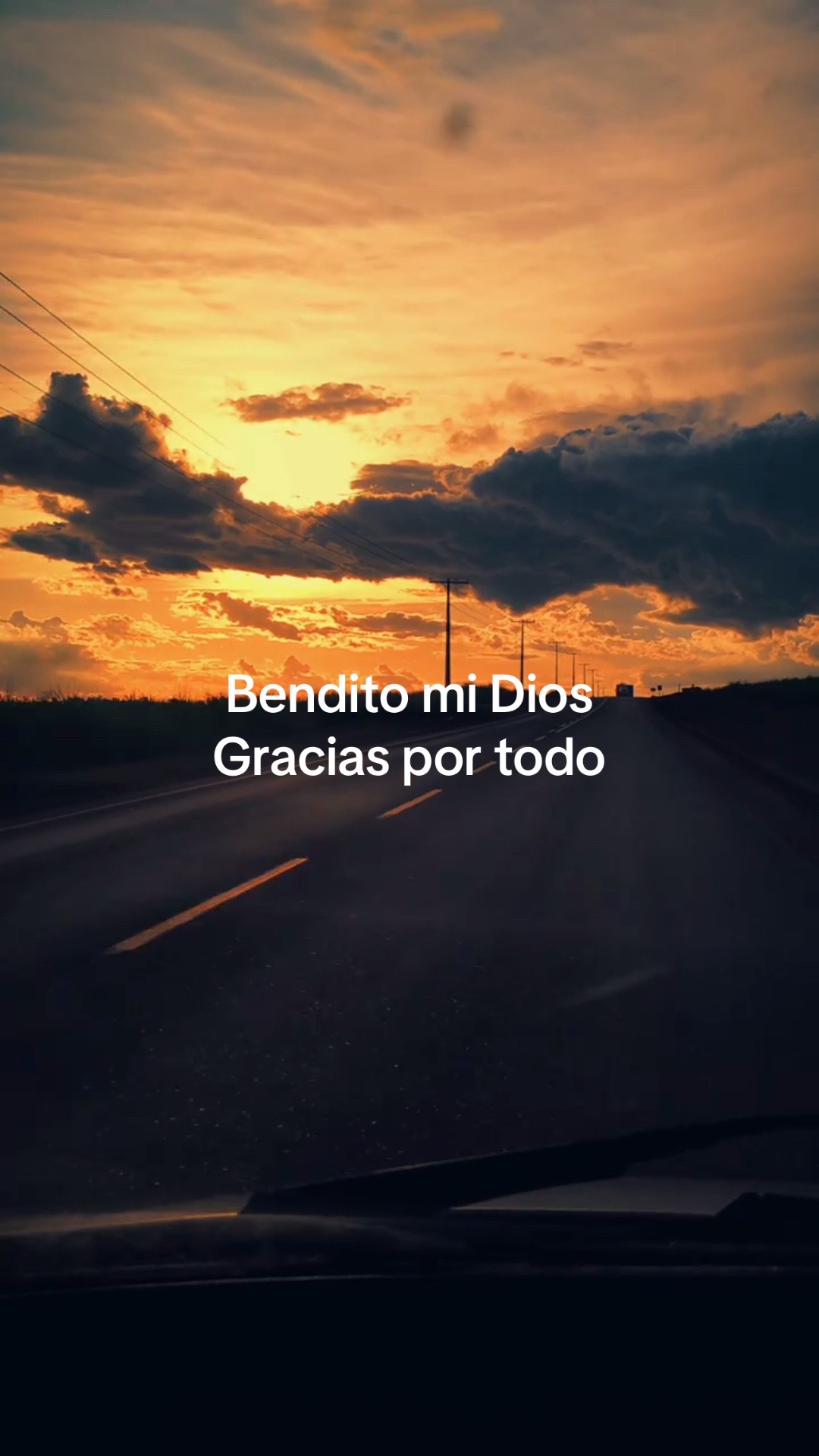 @Águila 331