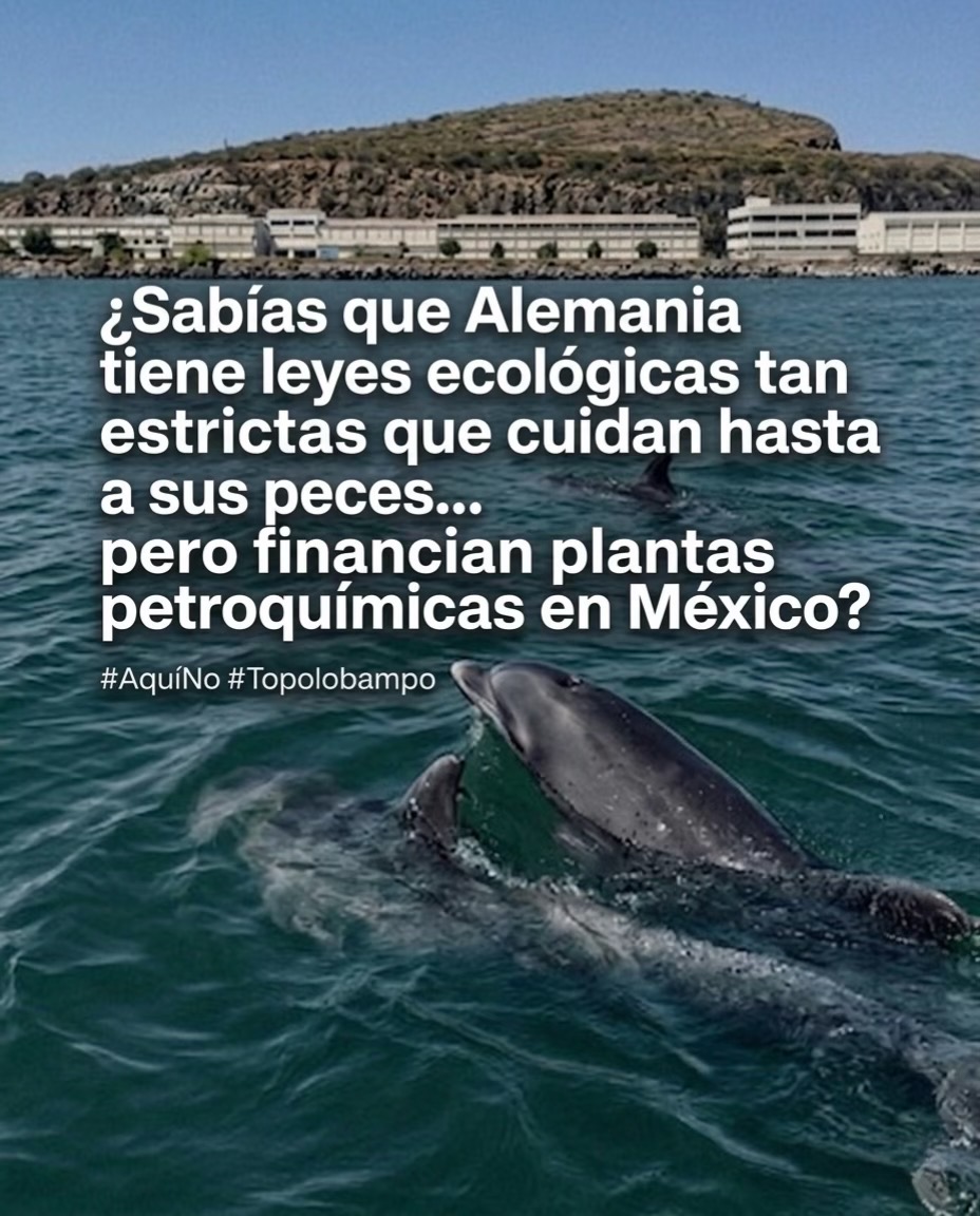 @Ismael Gastélum